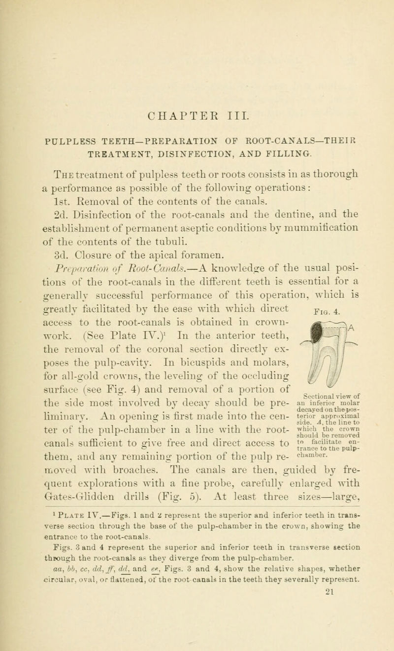 PULPLESS TEETH—PREPARATION OF ROOT-CANALS—THEIR TREATMENT, DISINFECTION, AND FILLING. The treatment of pulpless teeth or roots consists in as thorough a performance as possible of the following operations: 1st. Removal of the contents of the canals. 2d. Disinfection of the root-canals and the dentine, and the establishment of permanent aseptic conditions by mummification of the contents of the tubuli. 3d. Closure of the apical foramen. Preparation of Root-Canals.—A knowledge of the usual posi- tions of the root-canals in the different teeth is essential for a generally successful performance of this operation, which is greatly facilitated by the ease with which direct FlG 4 access to the root-canals is obtained in crown- work. (See Plate IV.)1 In the anterior teeth, the removal of the coronal section directly ex- poses the pulp-cavity. In bicuspids and molars, for all-gold crowns, the leveling of the occluding surface (see Fig. 4) and removal of a portion of the >ide most involved by decay should be pre- liminary. An opening is first made into the cen- ter of the pulp-chamber in a line with the root- canals sufficient to give free and direct access to them, and any remaining portion of the pulp re- moved with broaches. The canals are then, guided by fre- quent explorations with a fine probe, carefully enlarged with Gates-Glidden drills (Fig. 5). At least three sizes—large. 1 Plate IV.—Figs. 1 and 2 represent the superior and inferior teeth in trans- verse section through the base of the pulp-chamber in the crown, showing the entrance to the root-canals. Figs. 3 and 4 represent the superior and inferior teeth in transverse section through the root-canals a< they diverge from the pulp-chamber. aa, bb, cc, dd, ff, dd, and &>., Figs. 3 and 4, show the relative shapes, whether circular, oval, or flattened, of the root-canals in the teeth they severally represent. 21 Sectional view of an inferior molar decayed on the pos- terior approximal side. A, the line to which the crovrn should be removed to facilitate en- trance to the pulp- chamber.
