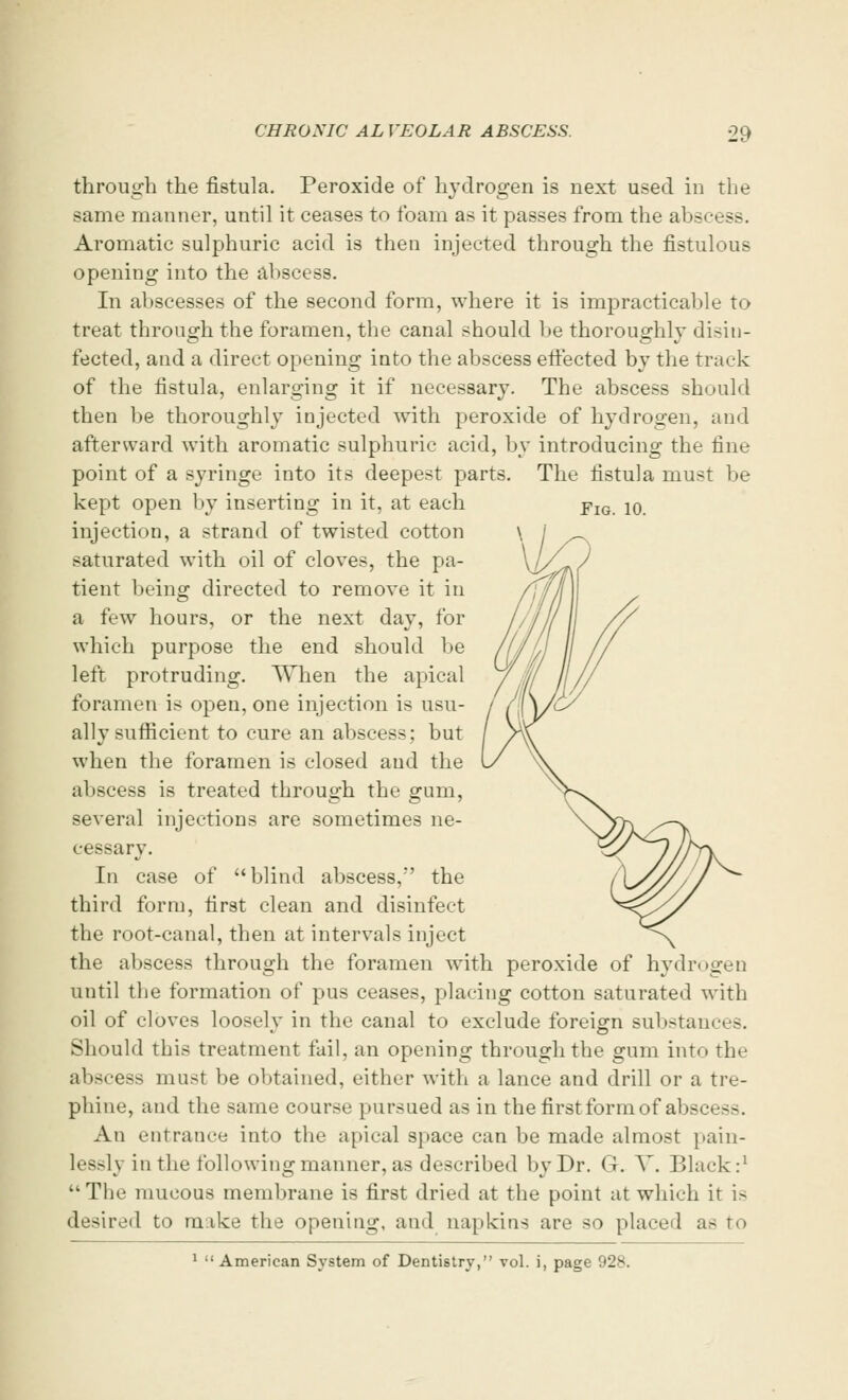 Fig. 10. through the fistula. Peroxide of hydrogen is next used in the same manner, until it ceases to foam as it passes from the abscess. Aromatic sulphuric acid is then injected through the fistulous opening into the abscess. In abscesses of the second form, where it is impracticable to treat through the foramen, the canal should be thoroughly disin- fected, and a direct opening into the abscess effected by the track of the fistula, enlarging it if necessary. The abscess should then be thoroughly injected with peroxide of hydrogen, and afterward with aromatic sulphuric acid, by introducing the fine point of a syringe into its deepest parts. The fistula must be kept open by inserting in it, at each injection, a strand of twisted cotton saturated with oil of cloves, the pa- tient being directed to remove it in a few hours, or the next day, for which purpose the end should be left protruding. When the apical foramen is open, one injection is usu- ally sufficient to cure an abscess; but when the foramen is closed and the abscess is treated through the gum, several injections are sometimes ne- cessary. In case of blind abscess,'' the third form, first clean and disinfect the root-canal, then at intervals inject the abscess through the foramen with peroxide of hydrogen until the formation of pus ceases, placing cotton saturated with oil of cloves loosely in the canal to exclude foreign substances. Should this treatment fail, an opening through the gum into the abscess must be obtained, either with a lance and drill or a tre- phine, and the same course pursued as in the first form of absci ■--. An entrance into the apical space can be made almost pain- lessly in the following manner, as described by Dr. G. V. Black:1 The mucous membrane is first dried at the point at which it is desired to make the opening, and napkins are so placed as to