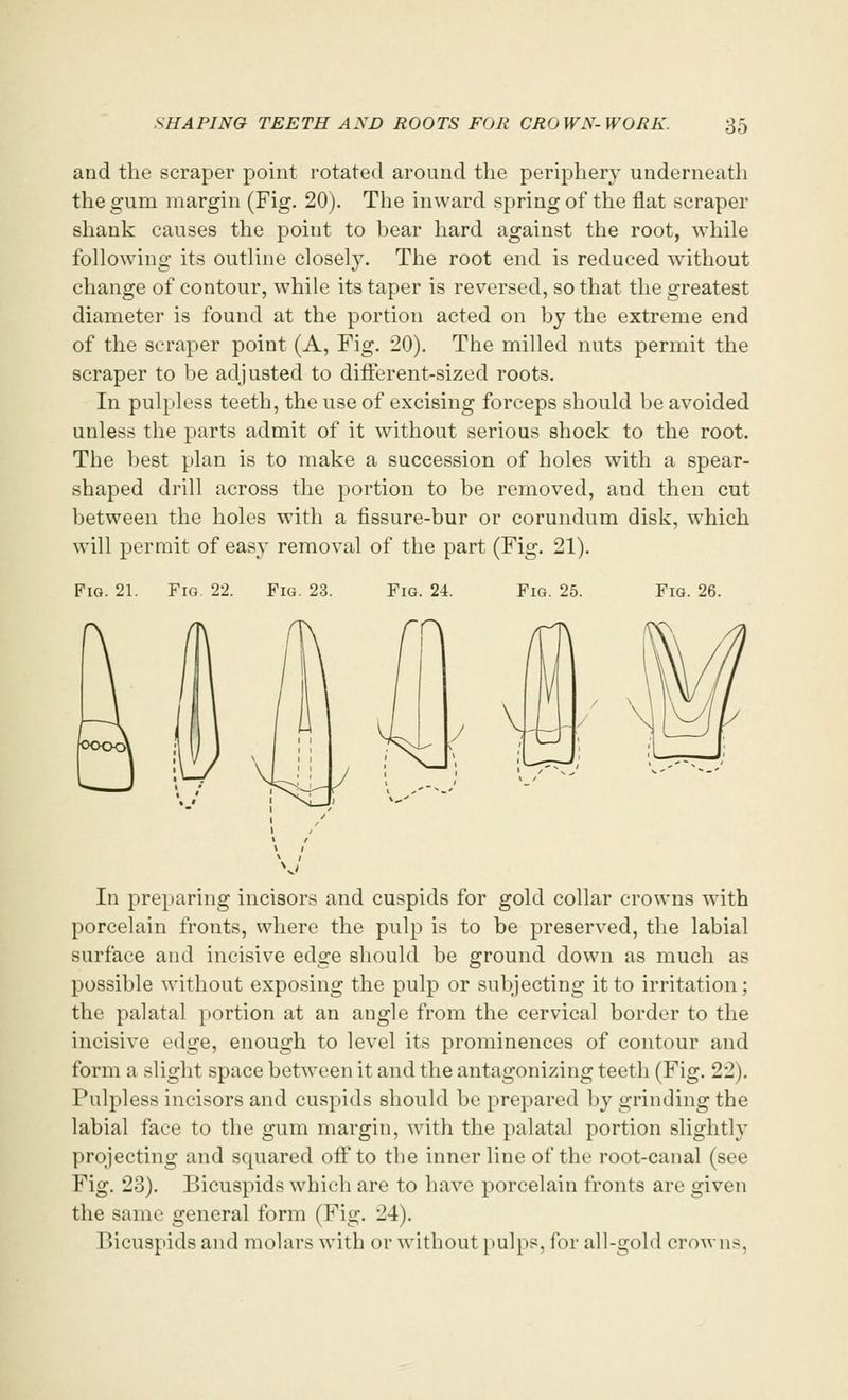 and the scraper point rotated around the periphery underneath the gum margin (Fig. 20). The inward spring of the flat scraper shank causes the point to bear hard against the root, while following its outline closely. The root end is reduced without change of contour, while its taper is reversed, so that the greatest diameter is found at the portion acted on by the extreme end of the scraper point (A, Fig. 20). The milled nuts permit the scraper to be adjusted to different-sized roots. In pulpless teeth, the use of excising forceps should be avoided unless the parts admit of it without serious shock to the root. The best plan is to make a succession of holes with a spear- shaped drill across the portion to be removed, and then cut between the holes with a fissure-bur or corundum disk, which will permit of easy removal of the part (Fig. 21). Fig. 21. Fig 22. Fig. 23. Fig. 24. Fig. 25. Fig. 26. In preparing incisors and cuspids for gold collar crowns with porcelain fronts, where the pulp is to be preserved, the labial surface and incisive edge should be ground down as much as possible without exposing the pulp or subjecting it to irritation ; the palatal portion at an angle from the cervical border to the incisive edge, enough to level its prominences of contour and form a slight space between it and the antagonizing teeth (Fig. 22). Pulpless incisors and cuspids should be prepared by grinding the labial face to the gum margin, with the palatal portion slightly projecting and squared off to the inner line of the root-canal (see Fig. 23). Bicuspids which are to have porcelain fronts are given the same general form (Fig. 24). Bicuspids and molars with or without pulps, for all-gold crowns.