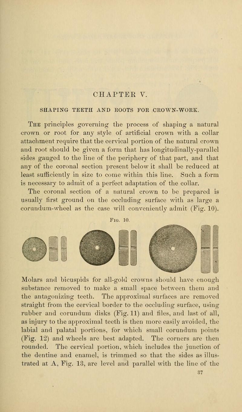 SHAPING TEETH AND KOOTS FOR CROWN-WORK. The principles governing the process of shaping a natural crown or root for any style of artificial crown with a collar attachment require that the cervical portion of the natural crown and root should be given a form that has longitudinally-parallel sides gauged to the line of the periphery of that part, and that any of the coronal section present below it shall be reduced at least sufficiently in size to come within this line. Such a form is necessary to admit of a perfect adaptation of the collar. The coronal section of a natural crown to be prepared is usually first ground on the occluding surface with as large a conindum-wheel as the case will conveniently admit (Fig. 10). Fig. 10. Molars and bicuspids for all-gold crowns should have enough substance removed to make a small space between them and the antagonizing teeth. The approximal surfaces are removed straight from the cervical border to the occluding surface, using rubber and corundum disks (Fig. 11) and tiles, and last of all, as injury to the approximal teeth is then more easily avoided, the labial and palatal portions, for which small corundum points (Fig. 12) and wheels are best adapted. The corners are then rounded. The cervical portion, which includes the junction of the dentine and enamel, is trimmed so that the sides as illus- trated at A, Fig. 13, are level and parallel with the line of the