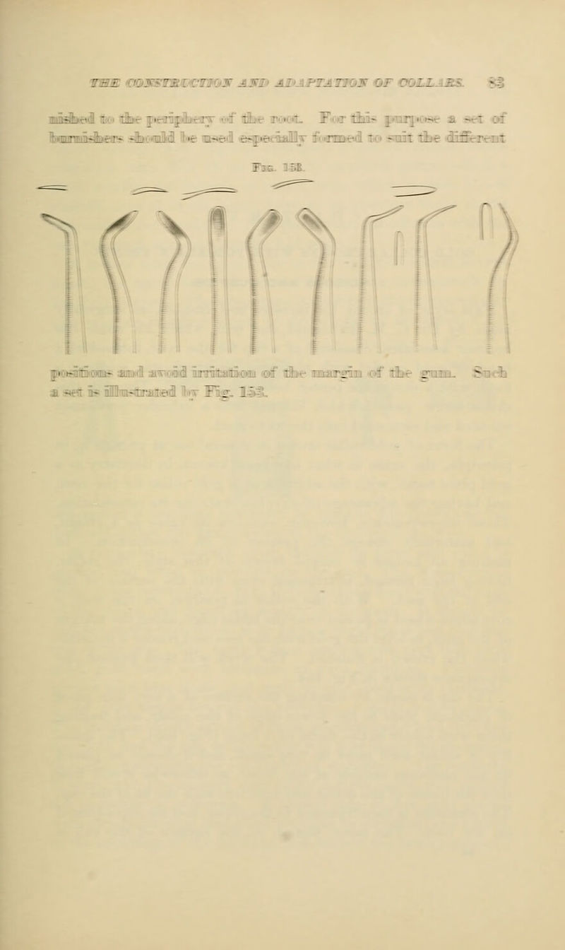 vmrn €m3^wm.i!j€mm^3f Asm ai»aptat]qs of oozz-U^. x3 Fi6. 15B. '^ -=^ ^^ :tif ttSM TirntairgTrBi <<Titf' iihui- gnijaaii fciD'fij