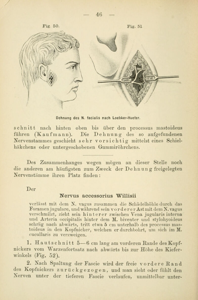 / — 46 — Fig. 51 Dehnung des N. facialis nach Loebker-Hueter. oben bis über den processus mastoideus Die Dehn u n g des so aufgefundenen Nervenstammes geschieht sehr vorsichtig mittelst eines Schiel- häkchens oder untergeschobenen Gummiröhrchens. schnitt nach hinten führen (K a u f m a n n). Des Zusammenhanges wegen mögen an dieser Stelle noch die anderen am häufigsten zum Zweck der Dehnung freigelegten Nervenstämme ihren Platz finden: Der Nervus accessorius Willisii verlässt mit dem N. vagus zusammen die Schädelhöhle durch das Foramen jugulare, und während sein vorderer Ast mit dem N. vagus verschmilzt, zieht sein hinterer zwischen Vena jugularis interna und Arteria occipitalis hinter dem M. biventer und stylohyoideus schräg nach abwärts, tritt etwa 5 cm unterhalb des processus mas- toideus in den Kopfnicker, welchen er durchbohrt, um sich im M. cucullaris zu verzweisfen. 1. Hautschnitt 5—6 cm lang am vorderen Rande des Kopf- nickers vom Warzenfortsatz nach abwärts bis zur Höhe des Kiefer- winkels (Fig. 52). 2. Nach Spaltung der Fascie wird der freie vordere Rand des Kopfnickers zurückgezogen, und man sieht oder fühlt den Nerven unter der tieferen Fascie verlaufen, unmittelbar unter-