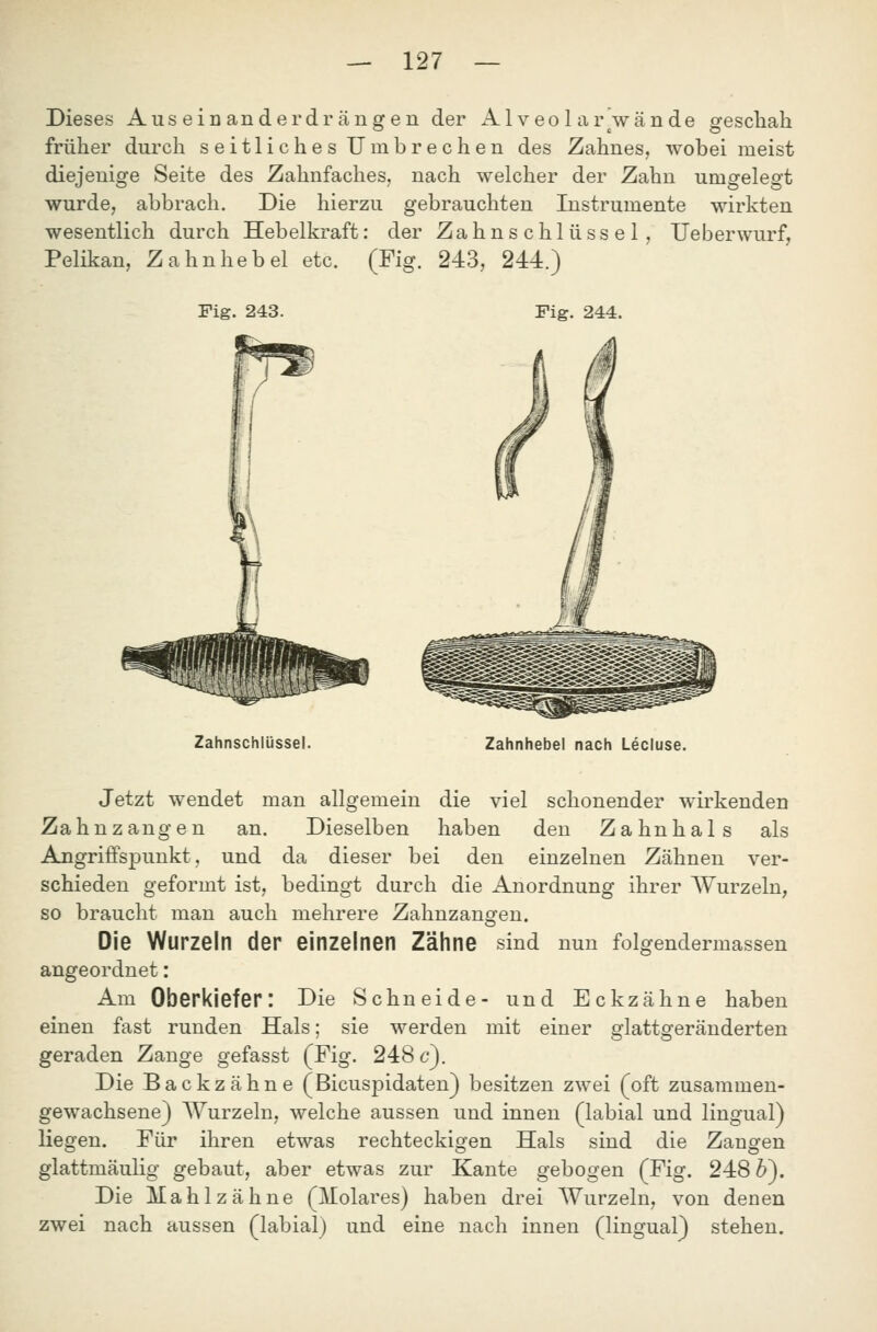 Dieses Ausein an der drängen der AI v eo 1 ar wände orescliah früher durch seitliches Umbrechen des Zahnes, wobei meist diejenige Seite des Zahnfaches, nach welcher der Zahn umgelegt wurde, abbrach. Die hierzu gebrauchten Instrumente wirkten wesentlich durch Hebelkraft: der Zahnschlüssel, Ueberwurf, Pelikan, Zahn he bei etc. (Fig. 243, 244.) Fig. 243. Fig. 244. Zahnschiüssel. Zahnhebel nach Lecluse. Jetzt wendet man allgemein die viel schonender wirkenden Zahn Zangen an. Dieselben haben den Zahnhals als AngriflFspunkt, und da dieser bei den einzelnen Zähnen ver- schieden geformt ist, bedingt durch die Anordnung ihrer Wurzeln, so braucht man auch mehrere Zahnzansfen. Die Wurzeln der einzelnen Zähne sind nun folgendermassen angeordnet: Am Oberkiefer: Die Schneide- und Eckzähne haben einen fast runden Hals; sie werden mit einer glattgeränderten geraden Zange gefasst (Fig. 248 c). Die Backzähne (Bicuspidaten) besitzen zwei (oft zusammen- gewachsene) Wurzeln, welche aussen und innen (labial und lingual) liegen. Für ihren etwas rechteckigen Hals sind die Zangen glattmäulig gebaut, aber etwas zur Kante gebogen (Fig. 248 &). Die IVIahlzähne (Molares) haben drei Wurzeln, von denen zwei nach aussen (labial) und eine nach innen (lingual) stehen.