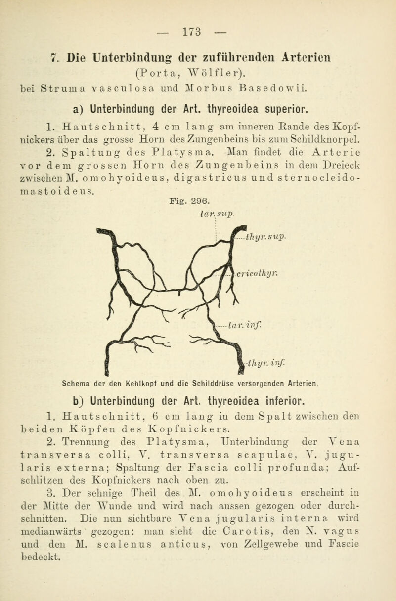 7. Die Unterbindung der zuführenden Arterien (Porta, Wölfler). bei Struma vasculosa und Morbus Basedowii. a) Unterbindung der Art. thyreoidea superior. 1. Haut schnitt, 4 cm lang am inneren Haude des Kojjf- nickers über das grosse Hörn des Zungenbeins bis zum Scliildknorj)el. 2. Spaltung des Platysma. Man findet die Arterie vor dem grossen Hörn des Zungenbeins in dem Dreieck zwischen M. o m o h v o i d e u s, d i g a s t r i c u s und s t e r n o c 1 e i d o - ma st oi d eus. Fig. 296. lar.siip. thyr.siip. cvicoilujr. In r. in f. ilujr. ivif. Schema der den Kehlkopf und die Schilddrüse versorgenden Arterien. b) Unterbindung der Art. thyreoidea inferior. 1. Hautschnitt, 6 cm lang in dem Spalt zwischen den beiden Köpfen des Kopfnickers. 2. Trennung des Platysma, Unterbindung der Vena transversa colli, V. transversa scapulae, V. jugu- laris externa; Spaltung der Fascia colli j)i'ofunda; Auf- schlitzen des Kopfnickers nach oben zu. 3. Der sehnige Theil des M. o m o h y o i d e u s erscheint in der Mitte der AVunde und wird nach aussen gezogen oder durch- schnitten. Die nun sichtbare Vena j u g u 1 a r i s interna wird medianwärts gezogen: man sieht die Carotis, den N. vagus und den M. scalenus anticus, von Zellgewebe und Fascie bedeckt.