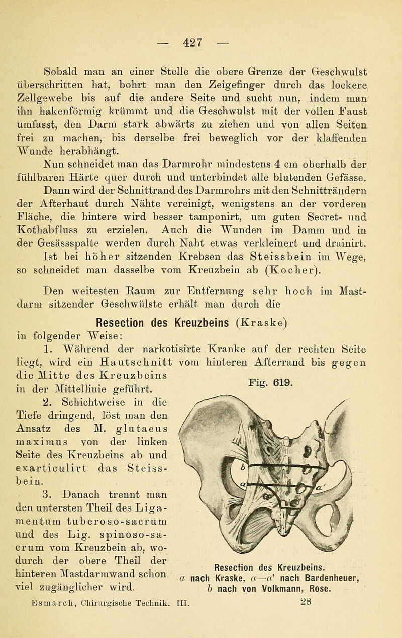 Sobald man an einer Stelle die obere Grenze der Geschwulst überschritten hat, bohrt man den Zeigefinger durch das lockere Zellgewebe bis auf die andere Seite und sucht nun, indem man ihn hakenförmig krümmt und die Geschwulst mit der vollen Faust umfasst, den Darm stark abwärts zu ziehen und von allen Seiten frei zu machen, bis derselbe frei beweglich vor der klaffenden Wunde herabhängt. Nun schneidet man das Darmrohr mindestens 4 cm oberhalb der fühlbaren Härte quer durch und unterbindet alle blutenden Gefässe. Dann wird der Schnittrand des Darmrohrs mit den Schnitträndern der Afterhaut durch Nähte vereinigt, wenigstens an der vorderen Fläche, die hintere wird besser tamponirt, um guten Secret- und Kothabfluss zu erzielen. Auch die Wunden im Damm und in der Gesässspalte werden durch Naht etwas verkleinert und drainirt. Ist bei höher sitzenden Krebsen das Steissbein im Wege, so schneidet man dasselbe vom Kreuzbein ab (Kocher). Den weitesten Raum zur Entfernung sehr hoch im Mast- darm sitzender Geschwülste erhält man durch die Resection des Kreuzbeins (Kraske) in folgender Weise: 1. Während der narkotisirte Kranke auf der rechten Seite liegt, wird ein Hautschnitt vom hinteren Afterrand bis gegen die Mitte des Kreuzbeins in der Mittellinie geführt. 2. Schichtweise in die Tiefe dringend, löst man den Ansatz des M. glutaeus maximus von der linken Seite des Kreuzbeins ab und exarticulirt das Steiss- bein. 3. Danach trennt man den untersten Theil des Liga- mentum tuberoso-sacrum und des Lig. spinoso-sa- crum vom Kreuzbein ab, wo- durch der obere Theil der hinteren Mastdarmwand schon viel zuffänelicher wird. Fig. 619. Esmarch, Chirurgische Technik. III. Resection des Kreuzbeins. a nach Kraske, a—«' nach Bardenheuer, b nach von Voli<mann, Rose. 28