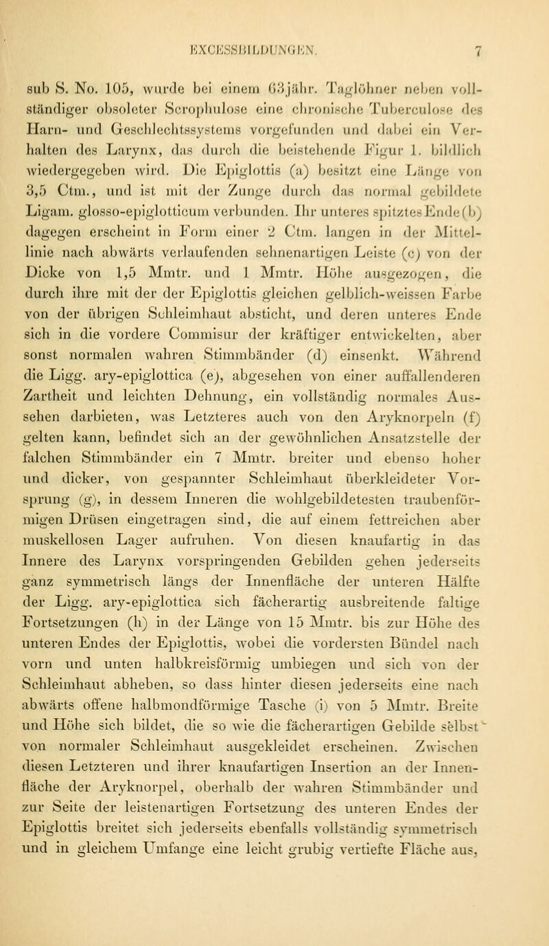 sub S. No. 105, wurde bei einem 63jähr. Taglühner neben voll- ständiger obsoleter Scrophulose eine chronische Tuberculose des Harn- und Geschlechtssystems vorgefunden and dabei «•in Ver- halten des Larynx, das durch die beistehende Figur 1. bildlich wiedergegeben wird. Die Epiglottis (a) besitzt eine Länge von 3,5 Ctm., und ist mit der Zunge durch das normal gebildete Ligam. glosso-epiglotticum verbunden. Ihr unteres spitzte- Ende(b) dagegen erscheint in Form einer 2 Ctm. langen in der Mittel- linie nach abwärts verlaufenden selmenartigen Leiste (p) von der Dicke von 1,5 Mmtr. und 1 Mmtr. Höhe ausgezogen, die durch ihre mit der der Epiglottis gleichen gelblich-weissen Farbe von der übrigen Schleimhaut absticht, und deren unteres Ende sich in die vordere Commisur der kräftiger entwickelten, aber sonst normalen wahren Stimmbänder (d) einsenkt. Während die Ligg. ary-epiglottica (ej, abgesehen von einer auffallenderen Zartheit und leichten Dehnung, ein vollständig normales An- sehen darbieten, was Letzteres auch von den Aryknorpeln (f) gelten kann, befindet sich an der gewöhnlichen Ansatzstelle der falchen Stimmbänder ein 7 Mmtr. breiter und ebenso hoher und dicker, von gespannter Schleimhaut überkleideter Vor- sprung (g), in dessem Inneren die wohlgebildetesten traubenför- migen Drüsen eingetragen sind, die auf einem fettreichen aber muskellosen Lager aufruhen. Von diesen knaufartig in das Innere des Larynx vorspringenden Gebilden gehen jederseits ganz symmetrisch längs der Innenfläche der unteren Hälfte der Ligg. ary-epiglottica sich fächerartig ausbreitende faltige Fortsetzungen (h) in der Länge von 15 Mmtr. bis zur Höhe des unteren Endes der Epiglottis, wobei die vordersten Bündel nach vorn und unten halbkreisförmig umbiegen und sich von der Schleimhaut ablieben, so dass hinter diesen jederseits eine nach abwärts offene halbmondförmige Tasche (i) von 5 Mmtr. Breite und Höhe sich bildet, die so wie die fächerartigen Gebilde selbst~ von normaler Schleimhaut ausgekleidet erscheinen. Zwischen diesen Letzteren und ihrer knaufartigen Insertion an der Innen- fläche der Aryknorpel, oberhalb der wahren Stimmbänder und zur Seite der leistenartigen Fortsetzung des unteren Endes der Epiglottis breitet sich jederseits ebenfalls vollständig symmetrisch und in gleichem Umfange eine leicht grubig vertiefte Fläche aus,