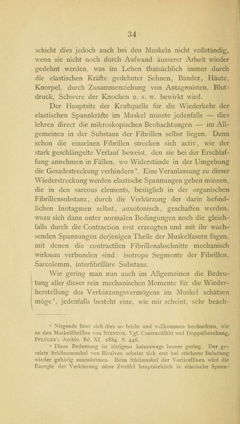 Schicht dies jedoch auch bei den Muskeln nicht vollständig, wenn sie nicht noch durch Aufwand äusserer Arbeit wieder gedehnt werden, was im Leben thatsächlich immer durch die elastischen Kräfte gedehnter Sehnen. Bänder, Häute. Knorpel, durch Zusammenziehung von Antagonisten, Blut- druck, Schwere der Knochen u. s. w. bewirkt wird. Der Hauptsitz der Kraftquelle für die Wiederkehr der elastischen Spannkräfte im Muskel müsste jedenfalls — dies lehren direct die mikroskopischen Beobachtungen — im All- gemeinen in der Substanz der Fibrillen selbst liegen. Denn schon die einzelnen Fibrillen strecken sich activ, wie der stark geschlängelte Verlauf beweist, den sie bei der Erschlaf- fung annehmen in Fällen, wo Widerstände in der Umgebung die Geradestreckung verhindern \ Eine Veranlassung zu dieser Wiederstreckung werden elastische Spannungen geben müssen, die in den sarcous Clements, bezüglich in der organischen Fibrillensubstanz, durch die Verkürzung der darin befind- lichen Inotagmen selbst, auxotonisch, geschaffen werden, wozu sich dann unter normalen Bedingungen noch die gleich- falls durch die Contraction erst erzeugten und mit ihr wach- senden Spannungen derjenigen Theile der Muskelfasern fügen, mit denen die contractilen Fibrillenabschnitte mechanisch wirksam verbunden sind: isotrope Segmente der Fibrillen, Sarcolemm, interfibrilläre Substanz. Wie gering man nun auch im Allgemeinen die Bedeu- tung aller dieser rein mechanischen Momente für die Wieder- herstellung des Verkürzungsvermögens im Muskel schätzen möge'', jedenfalls besteht eine, wie mir scheint, sehr beach- ' Nirgends lässt sich dies so leicht und vollkommen beobachten, wie an den Muskelfibrillen von Stentor. Vgl. Contractilität und Doppelbrechung, Pflüger's Archiv. Bd. XI. 1884. S. 446. 2 Diese Bedeutimg ist übrigens keineswegs immer gering. Der ge- reizte Schliessmuskel von Bivalven scheint sich erst bei stärkerer Belastung wieder gehörig auszudehnen. Beim Stielmuskel der VorticelHnen wird die Energie der Verkürzung ohne Zweifel hauptsächlich in elastische Spann-