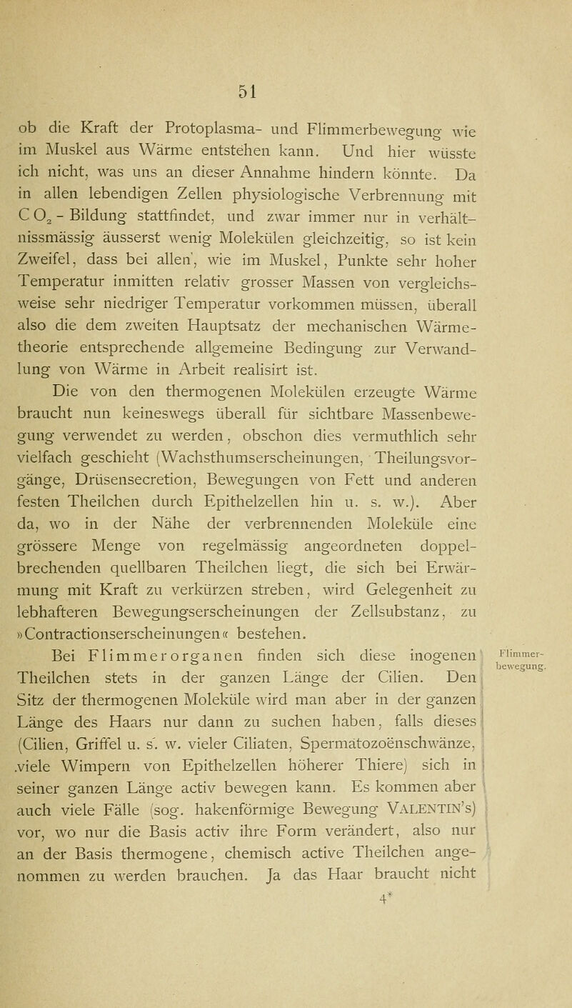 ob die Kraft der Protoplasma- und FHminerbewegung wie im Muskel aus Wärme entstehen kann. Und hier wüsste ich nicht, was uns an dieser Annahme hindern könnte. Da in allen lebendigen Zellen physiologische Verbrennung mit C O2 - Bildung stattfindet, und zwar immer nur in verhält- nissmässig äusserst wenig Molekülen gleichzeitig, so ist kein Zweifel, dass bei allen', wie im Muskel, Punkte sehr hoher Temperatur inmitten relativ grosser Massen von vergleichs- weise sehr niedriger Temperatur vorkommen müssen, überall also die dem zweiten Hauptsatz der mechanischen VVärme- theorie entsprechende allgemeine Bedingung zur Verwand- lung von Wärme in Arbeit realisirt ist. Die von den thermogenen Molekülen erzeugte Wärme braucht nun keineswegs überall für sichtbare Massenbewe- gung verwendet zu werden, obschon dies vermuthlich sehr vielfach geschieht (Wachsthumserscheinungen, Theilungsvor- gänge, Drüsensecretion, Bewegungen von Fett und anderen festen Theilchen durch Epithelzellen hin u. s. w.}. Aber da, wo in der Nähe der verbrennenden Moleküle eine grössere Menge von regelmässig angeordneten doppel- brechenden quellbaren Theilchen liegt, die sich bei Erwär- mung mit Kraft zu verkürzen streben, wird Gelegenheit zu lebhafteren Bewegungserscheinungen der Zellsubstanz, zu »Contractionserscheinungencf bestehen. Bei Flimmer Organen finden sich diese inogenen Fiimmei- bewegung. Theilchen stets in der ganzen Länge der Cilien. Den Sitz der thermogenen Moleküle wird man aber in der ganzen Länge des Haars nur dann zu suchen haben, falls dieses | (Cilien, Griffel u. s'. w. vieler Ciliaten, Spermätozoenschwänze, : .viele Wimpern von Epithelzellen höherer Thiere) sich in ! seiner ganzen Länge activ bewegen kann. Es kommen aber '• auch viele Fälle (sog. hakenförmige Bewegung Valentin's) vor, wo nur die Basis activ ihre Form verändert, also nur an der Basis thermogene, chemisch active Theilchen ange- nommen zu werden brauchen. Ja das Haar braucht nicht 4*