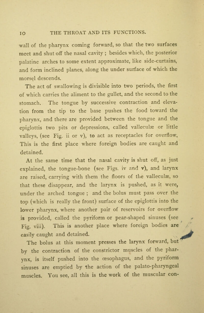 wall of the pharynx coming forward, so that the two surfaces meet and shut off the nasal cavity ; besides which, the posterior palatine arches to some extent approximate, like side-curtains, and form inclined planes, along the under surface of which the morsel descends. The act of swallowing is divisible into two periods, the first of which carries the aliment to the gullet, and the second to the stomach. The tongue by successive contraction and eleva- tion from the tip to the base pushes the food toward the pharynx, and there are provided between the tongue and the epiglottis two pits or depressions, called valleculae or little valleys, (see Fig. ii or v), to act as receptacles for overflow. This is the first place where foreign bodies are caught and detained. At the same time that the nasal cavity is shut off, as just explained, the tongue-bone (see Figs, iv and v), and larynx are raised, carrying with them the floors of the valleculae, so that these disappear, and the larynx is pushed, as it were, under the arched tongue ; and the bolus must pass over the top (which is really the front) surface of the epiglottis into the lower pharynx, where another pair of reservoirs for overflow is provided, called the pyriform or pear-shaped sinuses (see Fi-. viii). This is another place where foreign bodies are easily caught and detained. The bolus at this moment presses the lar\mx forward, but by the contraction of the constrictor muscles of the phar- ynx, is itself pushed into the oesophagus, and the pyriform sinuses are emptied by the action of the palato-phar>mgeal muscles. You see, all this is the work of the muscular con-