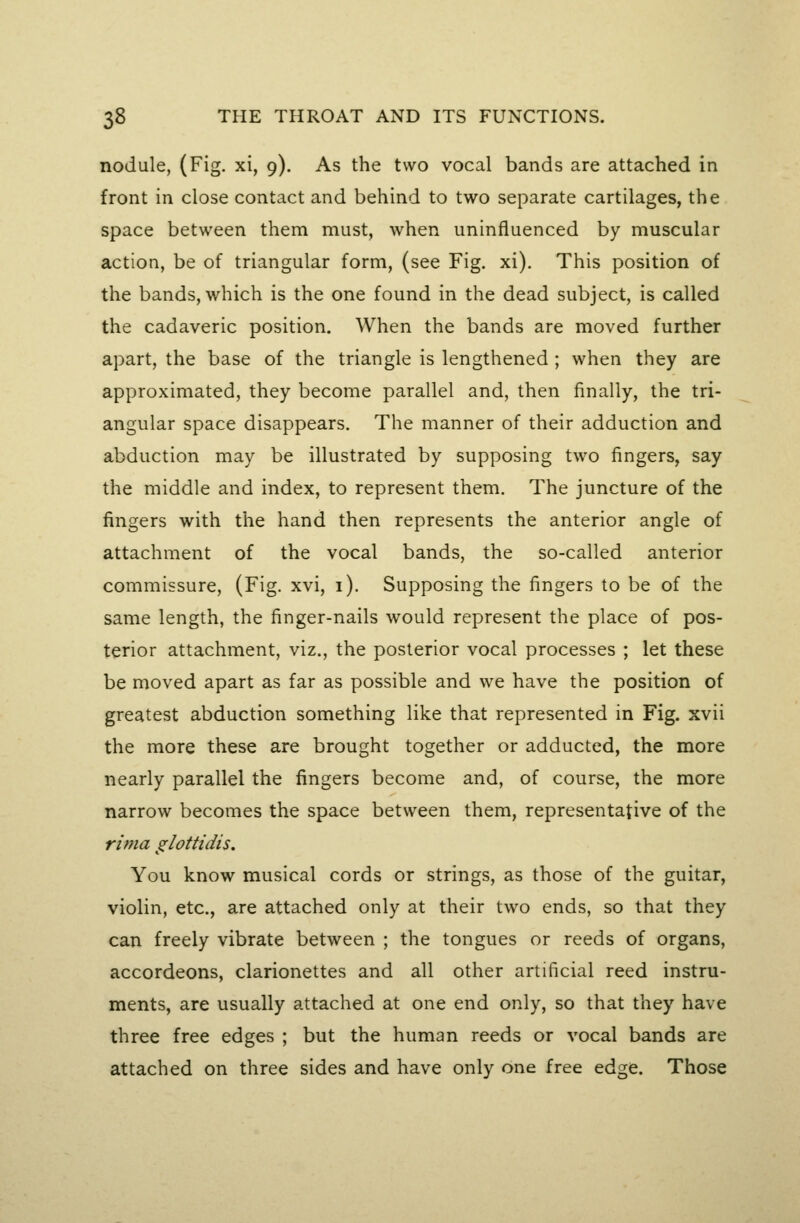 nodule, (Fig. xi, 9). As the two vocal bands are attached in front in close contact and behind to two separate cartilages, the space between them must, when uninfluenced by muscular action, be of triangular form, (see Fig. xi). This position of the bands, which is the one found in the dead subject, is called the cadaveric position. When the bands are moved further apart, the base of the triangle is lengthened ; when they are approximated, they become parallel and, then finally, the tri- angular space disappears. The manner of their adduction and abduction may be illustrated by supposing two fingers, say the middle and index, to represent them. The juncture of the fingers with the hand then represents the anterior angle of attachment of the vocal bands, the so-called anterior commissure, (Fig. xvi, i). Supposing the fingers to be of the same length, the finger-nails would represent the place of pos- terior attachment, viz., the posterior vocal processes ; let these be moved apart as far as possible and we have the position of greatest abduction something like that represented in Fig. xvii the more these are brought together or adducted, the more nearly parallel the fingers become and, of course, the more narrow becomes the space between them, representative of the rima glottidis. You know musical cords or strings, as those of the guitar, violin, etc., are attached only at their two ends, so that they can freely vibrate between ; the tongues or reeds of organs, accordeons, clarionettes and all other artificial reed instru- ments, are usually attached at one end only, so that they have three free edges ; but the human reeds or vocal bands are attached on three sides and have only one free edge. Those