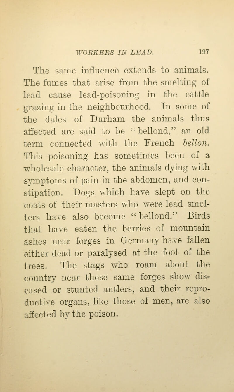 The same influence extends to animals. The fumes that arise from the smelting of lead cause lead-poisoning in the cattle grazing in the neighbourhood. In some of the dales of Durham the animals thus affected are said to be  bellond, an old term connected with the French hellon. This poisoning has sometimes been of a wholesale character, the animals dying with symptoms of pain in the abdomen, and con- stipation. Dogs which have slept on the coats of their masters who were lead smel- ters haA^e also become bellond. Birds that have eaten the berries of mountain ashes near forges in Germany have fallen either dead or paralysed at the foot of the trees. The stags who roam about the country near these same forges show dis- eased or stunted antlers, and their repro- ductive organs, like those of men, are also affected by the poison.