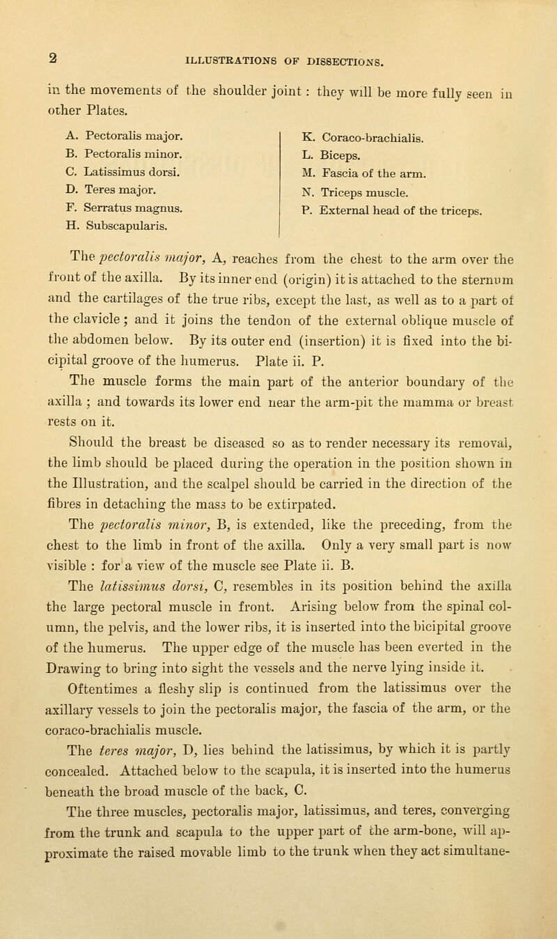 in the movements of the shoulder joint : they will be more fully seen in other Plates. A. Pectoralis major. B. Pectoralis minor. C. Latissimus dorsi. D. Teres major, F. Serratus magnus. H, Subscapularis. K. Coraco-brachialis. L. Biceps. M. Fascia of the arm. N. Triceps muscle. P. External head of the triceps. The pectoralis major, A, reaches from the chest to the arm over the front of the axilla. By its inner end (origin) it is attached to the sternum and the cartilages of the true ribs, except the last, as well as to a jDart of the clavicle; and it joins the tendon of the external oblique muscle of the abdomen below. By its outer end (insertion) it is fixed into the bi- cipital groove of the humerus. Plate ii. P. The muscle forms the main part of the anterior boundary of the axilla ; and towards its lower end near the arm-pit the mamma or breast rests on it. Should the breast be diseased so as to render necessary its removal, the limb should be placed during the operation in the position shown in the Illustration, and the scalpel should be carried in the direction of the fibres in detaching the mass to be extirpated. The jjectoralis minor, B, is extended, like the preceding, from the chest to the limb in front of the axilla. Only a very small part is now visible : for a view of the muscle see Plate ii. B. The latissimus dorsi, C, resembles in its position behind the axilla the large pectoral muscle in front. Arising below from the spinal col- umn, the pelvis, and the lower ribs, it is inserted into the bicipital groove of the humerus. The upper edge of the muscle has been everted in the Drawing to bring into sight the vessels and the nerve lying inside it. Oftentimes a fleshy slip is continued from the latissimus over the axillary vessels to join the pectoralis major, the fascia of the arm, or the coraco-brachialis muscle. The teres major, D, lies behind the latissimus, by which it is partly concealed. Attached below to the scapula, it is inserted into the humerus beneath the broad muscle of the back, C. The three muscles, pectoralis major, latissimus, and teres, converging from the trunk and scapula to the upper part of the arm-bone, will ap- proximate the raised movable limb to the trunk when they act simultane-