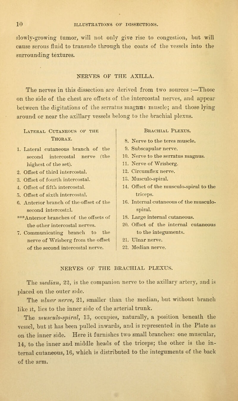 slowly-growing tumor, will not only give rise to congestion, but will cause serous fluid to transude through the coats of the vessels into the surrounding textures. NERVES OF THE AXILLA. The nerves in this dissection are derived from two sources :—Those on the side of the chest are offsets of the intercostal nerves, and appear between the digitations of the serratus magnus muscle; and those lying around or near the axillary vessels belong to tlie brachial jolexus. Lateral Cutaneous of the 1 Thorax. g 1. Lateral cutaneous branch of the j 9. second intercostal nerve (the | 10. highest of the set). 11' 2. Offset of third intercostal. 12. 3. Offset of fourth intercostal. 13. 4. Offset of fifth intercostal. 14. 5. Offset of sixth intercostal. 6. Anterior branch of the offset of tlie | 16. second intercostal. ' ■***Anterior branches of the offsets of 18. the other intercostal nerves. 20. 7. Communicating branch to the ner\-e of Wrisberg from the offset 21. of the second intercostal nerve. 22. Brachial Plexus. Nerve to the teres muscle. Subscapular nerve. Nerv-e to the serratus magnus. Nerve of Wrisberg. Circumflex nerve. Musculo-spiral. Offset of the musculo-spiral to the triceps. Internal cutaneous of the musculo- spiral. Large internal cutaneous. Offset of the internal cutaneous to the integuments. Ulnar nerve. Median nerve. NERVES OF THE BRACHIAL PLEXUS. Tlie median, 22, is the companion nerve to the axillary artery, and is placed on the outer side. The uhia7' nerve, 21, smaller than the median, but without branch like it, lies to the inner side of the arterial trunk. The vmsculo-spiral, 13, occupies, naturally, a position beneath the vessel, but it has been pulled inwards, and is represented in the Plate as on the inner side. Here it furnishes two small branches: one muscular, 14, to the inner and middle heads of the triceps; the other is the in- ternal cutaneous, 16, which is distributed to the integuments of the back of the arm.