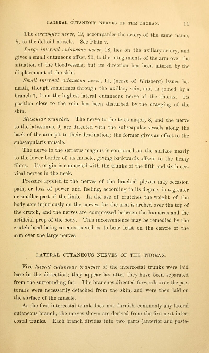 LATERAL CUTANEOUS NERVES OF THE TIIORAX. H The circumflex nerve, 13, accompanies the artery of the same name, h, to the deltoid muscle. See Plate v. Large internal cutaneous nerve, 18, lies on the axillary artery, and gives a small cutaneous offset, 20, to the integuments of the arm over the situation of the bloodvessels; but its direction has been altered by the displacement of the skin. Small internal cutaneous nerve, 11, (nerve of Wrisberg) issues be- neath, though sometimes through the axillary vein, and is joined by a branch 7, from the highest lateral cutaneous nerve of the thorax. Its position close to the vein has been disturbed by the dragging of the skin. Muscular branches. The nerve to the teres major, 8, and the nerve to the latissimus, 9, are directed with the subscapular vessels along the back of the arm-pit to their destination; the former gives an offset to the subscapularis muscle. The nerve to the serratus magnus is continued on the surface nearly to the lower border of its muscle, giving backwards offsets to the fleshy fibres. Its origin is connected with the trunks of the fifth and sixth cer- vical nerves in the neck. Pressure applied to the nerves of the brachial plexus may occasion pain, or loss of power and feeling, according to its degree, in a greater or smaller part of the limb. In the use of crutches the weight of the body acts injuriously on the nerves, for the arm is arched over the top of the crutch, and the nerves are compressed between the humerus and the artificial jjrop of the body. This inconvenience may be remedied by the crutch-head being so constructed as to bear least on the centre of the arm over the large nerves. LATERAL CUTANEOUS NERVES OF THE THORAX. Five lateral cutaneous branches of the intercostal trunks were laid bare in the dissection; they appear lax after they have been separated from the surrounding fat. The branches directed forwards over the pec- toralis v^ere necessarily detached from the skin, and were then laid on the surface of the muscle. As the first intercostal trunk does not furnish commonly any lateral cutaneous branch, the nerves sliOAvn are derived from the five next inter- costal trunks. Each branch divides into two parts (anterior and poste-