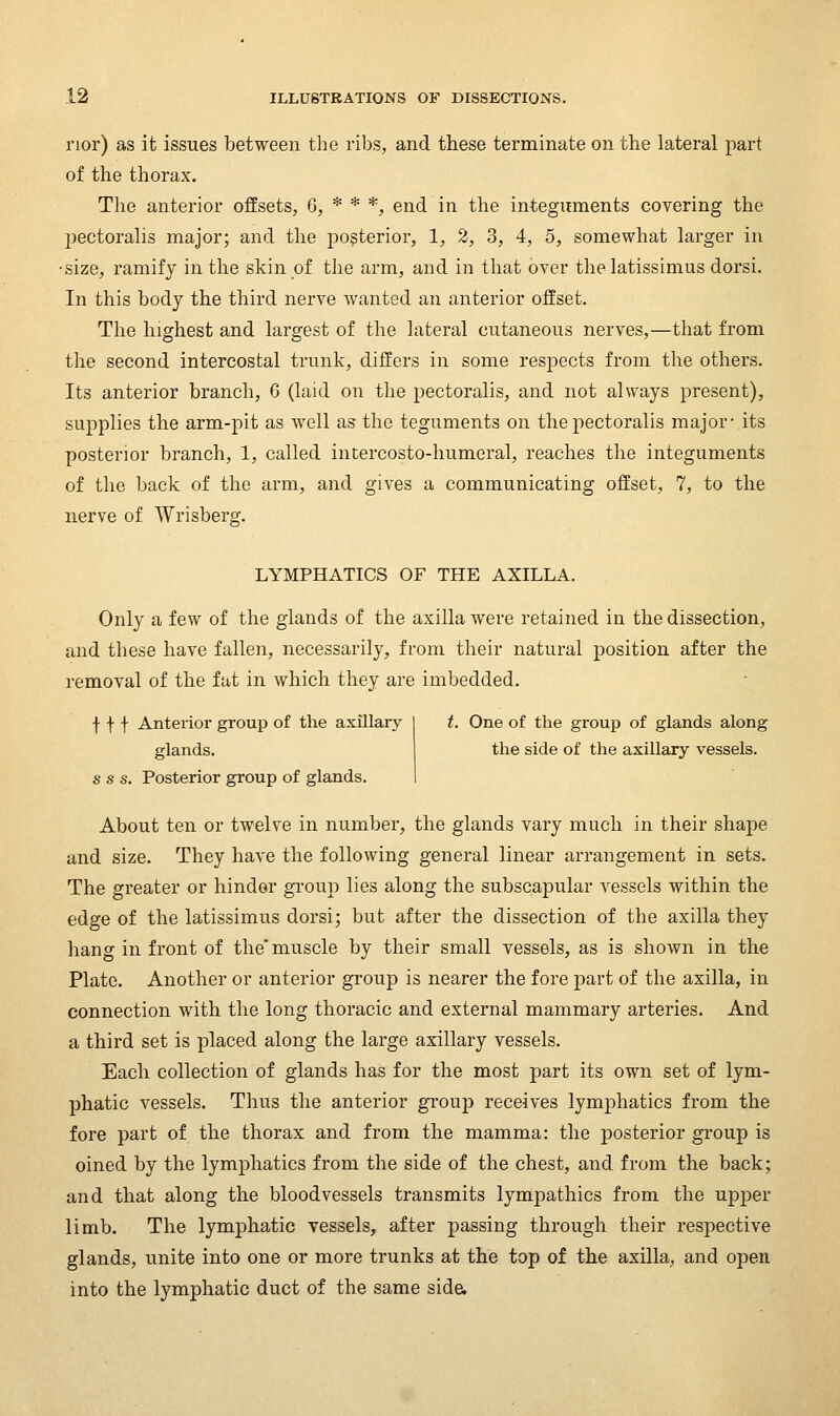 nor) as it issues between the ribs, and these terminate on the lateral part of the thorax. The anterior offsets, 6, * * *, end in the integuments covering the pectoralis major; and the posterior, 1, 2, 3, 4, 5, somewhat larger in •size, ramify in the skin of the arm, and in that over the latissimus dorsi. In this body the third nerve wanted an anterior offset. The highest and largest of the lateral cutaneous nerves,—that from the second intercostal trunk, differs in some respects from the others. Its anterior branch, G (laid on the pectoralis, and not always present), supplies the arm-pit as well as the teguments on the pectoralis major- its posterior branch, 1, called intercosto-humeral, reaches the integuments of the back of the arm, and gives a communicating offset, 7, to the nerve of Wrisberg. LYMPHATICS OF THE AXILLA. Only a few of the glands of the axilla were retained in the dissection, and these have fallen, necessarily, from their natural position after the removal of the fat in which they are imbedded. f f f Anterior group of the axillary glands. s s s. Posterior group of glands. t. One of the group of glands along the side of the axillary vessels. About ten or twelve in number, the glands vary much in their shape and size. They have the following general linear arrangement in sets. The greater or hinder gi'oup lies along the subscapular vessels within the edge of the latissimus dorsi; but after the dissection of the axilla they hang in front of the' muscle by their small vessels, as is shown in the Plate. Another or anterior group is nearer the fore part of the axilla, in connection with the long thoracic and external mammary arteries. And a third set is placed along the large axillary vessels. Each collection of glands has for the most part its own set of lym- phatic vessels. Thus the anterior group receives lymphatics from the fore part of the thorax and from the mamma: the posterior group is oined by the lymphatics from the side of the chest, and from the back; and that along the bloodvessels transmits lympathics from the upper limb. The lymphatic vessels, after passing through their respective glands, unite into one or more trunks at the top of the axilla, and open into the lymphatic duct of the same sida