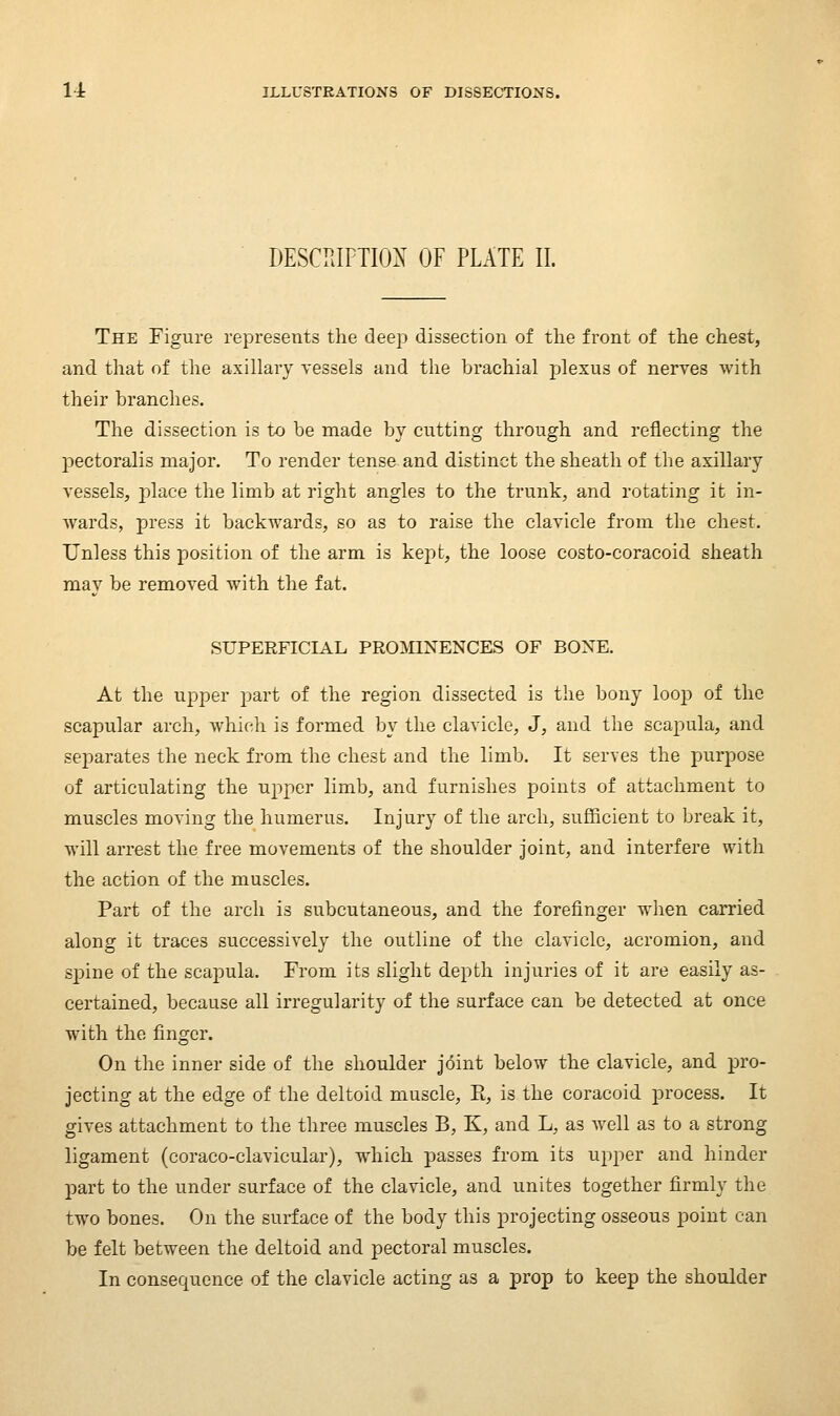 DESCPtlFTION OF PLATE II. The Figure represents the deep dissection of the front of the chest, and that of the axillary vessels and the brachial plexus of nerves with their branches. The dissection is to be made by cutting through and reflecting the pectoralis major. To render tense and distinct the sheath of the axillary vessels, place the limb at right angles to the trunk, and rotating it in- wards, press it backwards, so as to raise the clavicle from the chest. Unless this position of the arm is kept, the loose costo-coracoid sheath may be removed with the fat. SUPERFICIAL PROMINENCES OF BONE. At the upper part of the region dissected is the bony loop of the scapular arch, which is formed by the clavicle, J, and the scapula, and separates the neck from the chest and the limb. It serves the purpose of articulating the upper limb, and furnishes points of attachment to muscles moving the humerus. Injury of the arch, sufficient to break it, will arrest the free movements of the shoulder joint, and interfere with the action of the muscles. Part of the arch is subcutaneous, and the forefinger when carried along it traces successively the outline of the clavicle, acromion, and sjjine of the scapula. From its slight depth injuries of it are easily as- certained, because all irregularity of the surface can be detected at once with the finger. On the inner side of the shoulder joint below the clavicle, and pro- jecting at the edge of the deltoid muscle, E, is the coracoid process. It gives attachment to the three muscles B, K, and L, as well as to a strong ligament (coraco-clavicular), which passes from its upper and hinder part to the under surface of the clavicle, and unites together firmly the two bones. On the surface of the body this projecting osseous point can be felt between the deltoid and pectoral muscles. In consequence of the clavicle acting as a prop to keep the shoulder