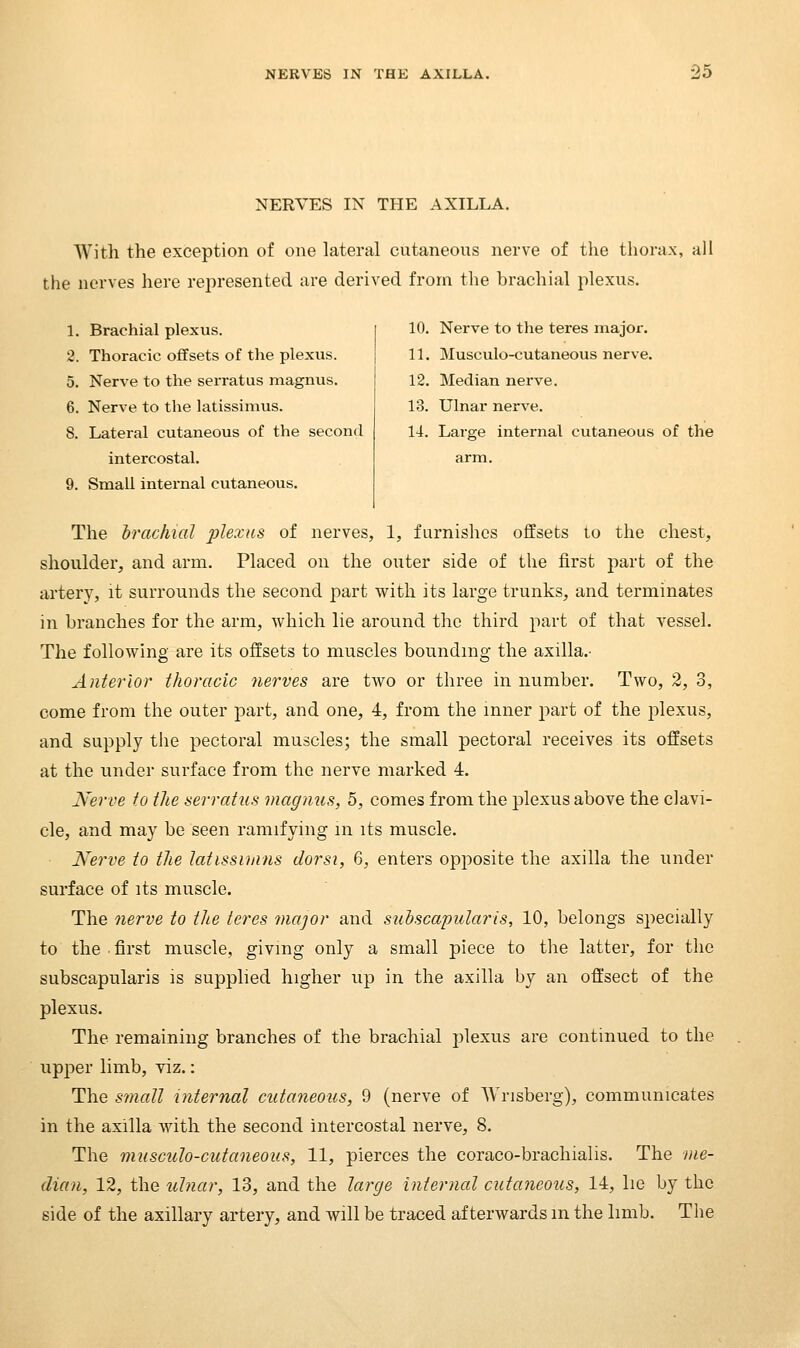 NERVES IN THE AXILLA. With the exception of one lateral cutaneous nerve of the thorax, all the nerves here represented are derived from the brachial plexus. 1. Brachial plexus. 2. Thoracic ofifsets of the plexus. 5. Nerve to the serratus magnus. 6. Nerve to the latissimus. 8. Lateral cutaneous of the second intercostal. 9. Small internal cutaneous. 10. Nerve to tlie teres major. 11. Musculo-cutaneous nerve. 12. Median nerve. 13. Ulnar nerve. 14. Large internal cutaneous of the arm. The brachial plexus of nerves, 1, furnishes offsets to the chest, shoulder, and arm. Placed on the outer side of the first part of the artery, it surrounds the second part with its large trunks, and terminates in branches for the arm, which lie around the third part of that vessel. The following are its offsets to muscles bounding the axilla.- Anterior thoracic nerves are tAvo or three in number. Two, 2, 3, come from the outer part, and one, 4, from the inner part of the plexus, and supply the pectoral muscles; the small pectoral receives its offsets at the under surface from the nerve marked 4. Nerve to the serratus magjius, 5, comes from the plexus above the clavi- cle, and may be seen ramifying m its muscle. Nerve to the latissiinns dorsi, 6, enters opjoosite the axilla the under surface of its muscle. The nerve to the teres major and subscapular is, 10, belongs specially to the first muscle, giving only a small piece to tlie latter, for the subscapularis is supplied higher up in the axilla by an offsect of the plexus. The remaining branches of the brachial plexus are continued to the upper limb, viz.: The S7nall internal cutaneous, 9 (nerve of Wrisberg), communicates in the axilla with the second intercostal nerve, 8. The musculo-cutaneous, 11, pierces the coraco-brachialis. The me- dian, 12, the ulnar, 13, and the large internal cutaneous, 14, lie by the side of the axillary artery, and will be traced afterwards m the limb. Tlie