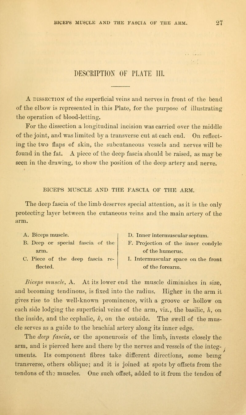 DESCRIPTION OF PLATE III. A DISSECTION of the superficial veins and nerves in front of the bend of the elbow is represented in this Plate, for the purpose of illustrating the operation of blood-letting. For the dissection a longitudinal incision was carried over the middle of the joint, and was limited by a transverse cut at each end. On reflect- ing the two flaps of skin, the subcutaneous vessels and nerves will be found in the fat. A piece of the deep fascia should be raised, as may be seen in the drawing, to show the position of the deep artery and nerve. BICEPS MUSCLE AND THE FASCIA OF THE ARM. The deep fascia of the limb deserves special attention, as it is the only protecting layer between the cutaneous veins and the main artery of the arm. A. Biceps muscle. B. Deep or special fascia of the arm. C. Piece of the deep fascia re- flected. D. Inner intermuscular septum. F. Projection of the inner condyle of the humerus. I. Intermuscular space on the front of the forearm. Biceps muscle, A. At its lower end the muscle diminishes in size, and becoming tendinous, is fixed into the radius. Higher in the arm it gives rise to the well-known prominence, with a groove or hollow on each side lodging the superficial veins of the arm, viz., the basilic, li, on the inside, and the cephalic, h, on the outside. The swell of the mus- cle serves as a guide to the brachial artery along its inner edge. The deep fascia, or the aponeurosis of the limb, invests closely the arm, and is pierced here and there by the nerves and vessels of the integ- , uments. Its component fibres take different directions, some bemg transverse, others oblique; and it is joined at spots by offsets from the tendons of tho muscles. One such offset, added to it from the tendon of