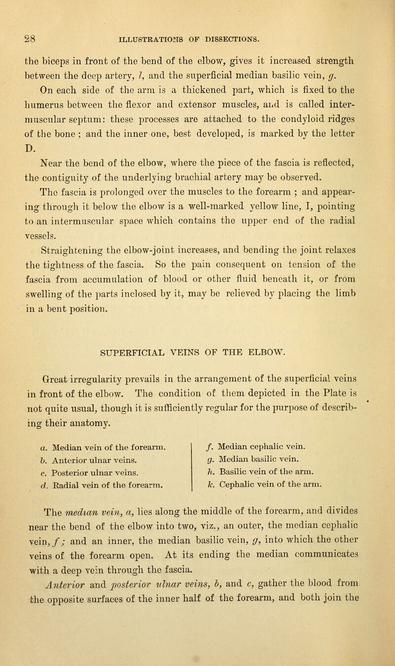 the biceps in front of the bend of the elbow, gives it increased strength between the deep artery, I, and the superficial median basilic vein, g. On each side of the arm is a thickened part, which is fixed to the humerus between the flexor and extensor muscles, and is called inter- muscular septum: these processes are attached to the condyloid ridges of the bone ; and the inner one, best developed, is marked by the letter D. Near the bend of the elbow, where the piece of the fascia is reflected, the contiguity of the underlying brachial artery may be observed. The fascia is prolonged over the muscles to the forearm ; and appear- ing through it below tlie elbow is a well-marked yellow line, I, pointing to an intermuscular space which contains the upper end of the radial vessels. Straightening the elbow-Joint increases, and bending the joint relaxes the tightness of the fascia. So the pain consequent on tension of the fascia from accumulation of blood or other fluid beneath it, or from swelling of the parts inclosed by it, may be relieved by placing the limb in a bent position. SUPERFICIAL VEINS OF THE ELBOW. Great irregularity prevails in the arrangement of the superficial veins in front of the elbow. The condition of them depicted in the Plate is not quite usual, though it is sufficiently regular for the purpose of describ- ing their anatomy. a. Median vein of the forearm. h. Anterior ulnar veins. e. Posterior ulnar veins. d. Radial vein of the forearm. /. Median cephalic vein. g. Median basilic vein. h. Basilic vein of the arm. h. Cephalic vein of the arm. The median vein, a, lies along the middle of the forearm, and divides near the bend of the elbow into two, viz., an outer, the median cephalic vein,/; and an inner, the median basilic vein, g, into which the other veins of the forearm open. At its ending the median communicates with a deep vein through the fascia. Anterior and posterior idnar veins, h, and c, gather the blood from •the. opposite surfaces of the inner half of the forearm, and both join the