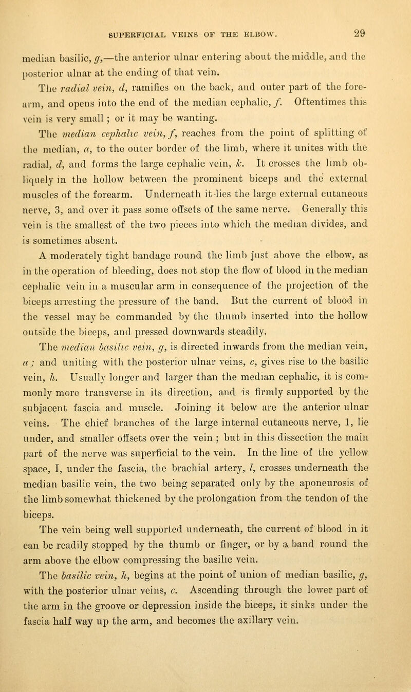 median basilic,^,—the anterior ulnar entering about the middle, .and the l)osterior ulnar at the ending of that vein. The radial vein, d, ramifies on the back, and outer part of the fore- arm, and opens into the end of the median cephalic, /. Oftentimes this vein is very small; or it may be wanting. The median ceiilialic vein, f, reaches from the point of splitting of the median, a, to the outer border of the limb, where it unites with the radial, d, and forms the large cephalic vein, h. It crosses the limb ob- liquely in the hollow between the prominent biceps and the external muscles of the forearm. Underneath it-lies the large external cutaneous nerve, 3, and over it pass some offsets of the same nerve. Generally this vein is the smallest of the two pieces into which the median divides, and is sometimes absent. A moderately tight bandage round the limb just above the elbow, as in the operation of bleeding, does not stop the flow of blood in the median cephalic vein in a muscular arm in consequence of the projection of the biceps arresting the pressure of the band. But the current of blood in the vessel may be commanded by the thumb inserted into the hollow outside the biceps, and pressed downwards steadily. The median basilic vein, g, is directed inwards from the median vein, a ; and uniting with the joosterior ulnar veins, c, gives rise to the basilic vein, A. Usually longer and larger than the median cephalic, it is com- monly more transverse in its direction, and is firmly supported by the subjacent fascia and muscle. Joining it below are the anterior ulnar veins. The chief branches of the large internal cutaneous nerve, 1, lie under, and smaller offsets over the vein ; but in this dissection the main part of the nerve was superficial to the vein. In the line of the yellow space, I, under the fascia, the brachial artery, /, crosses underneath the median basilic vein, the two being separated only by the aponeurosis of the limb somewhat thickened by the prolongation from the tendon of the biceps. The vein being well supported underneath, the current of blood in it can be readily stopped by the thumb or finger, or by a band round the arm above the elbow compressing the basilic vein. The basilic vein, U, begins at the point of union of median basilic, g, with the posterior ulnar veins, c. Ascending through the lower part of the arm in the groove or depression inside the biceps, it sinks under the fascia half way up the arm, and becomes the axillary vein.