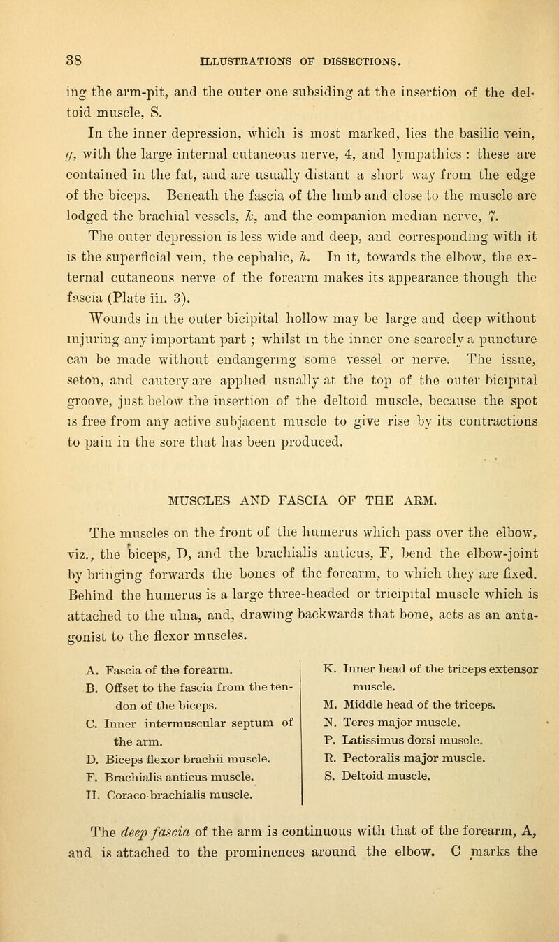 ing the arm-pit, and the outer one subsiding at the insertion of the del' toid muscle, S. In the inner depression, which is most marked, lies the basilic vein, (), with the large internal cutaneous nerve, 4, and lympathics : these are contained in the fat, and are usually distant a short way from the edge of the biceps. Beneath the fascia of the limb and close to the muscle are lodged the brachial vessels, 1c, and the companion median nerve, 7. The outer depression is less wide and deep, and corresponding with it is the superficial vein, the cephalic, li. In it, towards the elbow, the ex- ternal cutaneous nerve of the forearm makes its appearance though the fascia (Plate iii. 3). Wounds in the outer bicipital hollow may be large and deep without injuring any important part; whilst m the inner one scarcely a puncture can be made without endangering some vessel or nerve. The issue, seton, and cautery are applied usually at the top of the outer bicipital groove, just below the insertion of the deltoid muscle, because the spot 13 free from any active subjacent muscle to give rise by its contractions to pain in the sore that has been produced. MUSCLES AND FASCIA OF THE ARM. The muscles on the front of the humerus which pass over the elbow, viz., the biceps, D, and the brachialis anticus, F, bend the elbow-joint by bringing forwards the bones of the forearm, to which they are fixed. Behind the humerus is a large three-headed or tricipital muscle which is attached to the ulna, and, drawing backwards that bone, acts as an anta- gonist to the flexor muscles. A. Fascia of the forearm. B. Offset to the fascia from the ten- don of the biceps. C. Inner intermuscular septum of the arm. D. Biceps flexor brachii muscle. F. Brachialis anticus muscle. H. Coraco brachialis muscle. K. Inner head of the triceps extensor muscle. M. Middle head of the triceps. N. Teres major muscle. P. Latissimus dorsi muscle. R. Pectoralis major muscle. S. Deltoid muscle. The deeji fascia of the arm is continuous with that of the forearm. A, and is attached to the prominences around the elbow. C marks the