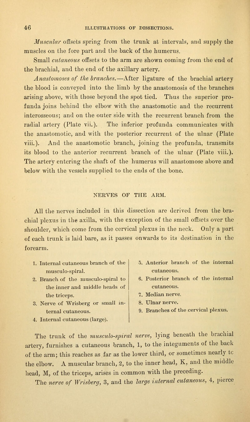 Muscular offsets spring from the trunk at intervals, and supply the muscles on the fore part and the back of the humerus. Small cutajieous offsets to the arm are shown coming from the end of the brachial, and the end of the axillary artery. Anastomoses of the branches.—After ligature of the brachial artery the blood is conveyed into the limb by the anastomosis of the branches arising above, with those beyond the spot tied. Thus the superior pro- funda joins behind the elbow with the anastomotic and the recurrent interosseous; and on the outer side with the recurrent branch from the radial artery (Plate vii.). The inferior profunda communicates with the anastomotic, and with the posterior recurrent of the ulnar (Plate viii.). And the anastomotic branch, joining the profunda, transmits its blood to the anterior recurrent branch of the ulnar (Plate viii.). The artery entering the shaft of the humerus will anastomose above and below with the vessels supplied to the ends of the bone. NERVES OF THE ARM. All the nerves included in this dissection are derived from the bra- chial plexus in the axilla, with the exception of the small offsets over the shoulder, which come from the cervical plexus in the neck. Only a part of each trunk is laid bare, as it passes onwards to its destination in the forearm. 1. Internal cutaneous branch of the niusculo-spiral. 2. Branch of the musculo-spiral to the inner and middle heads of the triceps. 3. Nerve of Wrisberg or small in- ternal cutaneous. 4. Internal cutaneous (large). 5. Anterior branch of the internal cutaneous. 6. Posterior branch of the internal cutaneous. 7. Median nerve. 8. Ulnar nerve. 9. Branches of the cervical plexus. The trunk of the musculo-spiral nerve, lying beneath the brachial artery, furnishes a cutaneous branch, 1, to the integuments of the back of the arm; this reaches as far as the lower third, or sometimes nearly to the elbow. A muscular branch, 2, to the inner head, K, and the middle head, M, of the triceps, arises in common with the preceding. The nerve of Wrisberg, 3, and the large internal cutaneous, 4, pierce