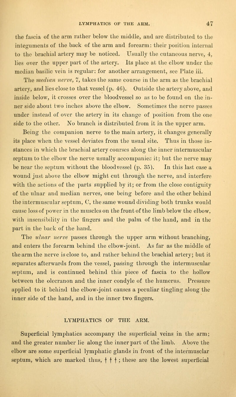 the fascia of the arm rather below Lhe middle, and are distributed to the integuments of the back of the arm and forearm: their position internal to the brachial artery may be noticed. Usually the cutaneous nerve, 4, lies over the ujiper part of the artery. Its place at the elbow under the median basilic vein is regular: for another arrangement, see Plate iii. The median nerve, 7, takes the same course in the arm as the brachial artery, and lies close to that vessel (p. 46). Outside the artery above, and inside below, it crosses over the bloodvessel so as to be found on the in- ner side about two inches above the elbow. Sometimes the nerve passes under instead of over the artery in its change of position from the one side to the other. No branch is distributed from it in the upper arm. Being the com23anion nerve to the main artery, it changes generally its place when the vessel deviates from the usual site. Thus in those in- stances in Avhich the brachial artery courses along the inner intermuscular septum to the elbow the nerve usually accompanies it; but the nerve may be near the septum without the bloodvessel (p. 35). In this last case a wound just above the elbow might cut through the nerve, and interfere with the actions of the parts supplied by it; or from the close contiguity of the ulnar and median nerves, one being before and the other behind the intermuscular septum, C, the same wound dividing both trunks would cause loss of power in the muscles on the front of the limb below the elbow, with insensibility in the fin2:ers and the palm of the hand, and in the part in the back of the hand. The ulnar, nerve passes through the upper arm without branching, and enters the forearm behind the elbow-jomt. As far as the middle of the arm the nerve is close to, and rather behind the brachial artery; but it separates afterwards from the vessel, passing through the intermuscular septum, and is continued behind this piece of fascia to the hollow between the olecranon and the inner condyle of the humerus. Pressure applied to it behind the elbow-joint causes a peculiar tingling along the inner side of the hand, and in the inner two fingers. LYMPHATICS OF THE ARM. Superficial lymphatics accompany the suiDerficial veins in the arm; and the greater number lie along the inner part of the limb. Above the elbow are some superficial lymphatic glands in front of the intefmusclar septum, which are marked thus, f t t j these are the lowest superficial