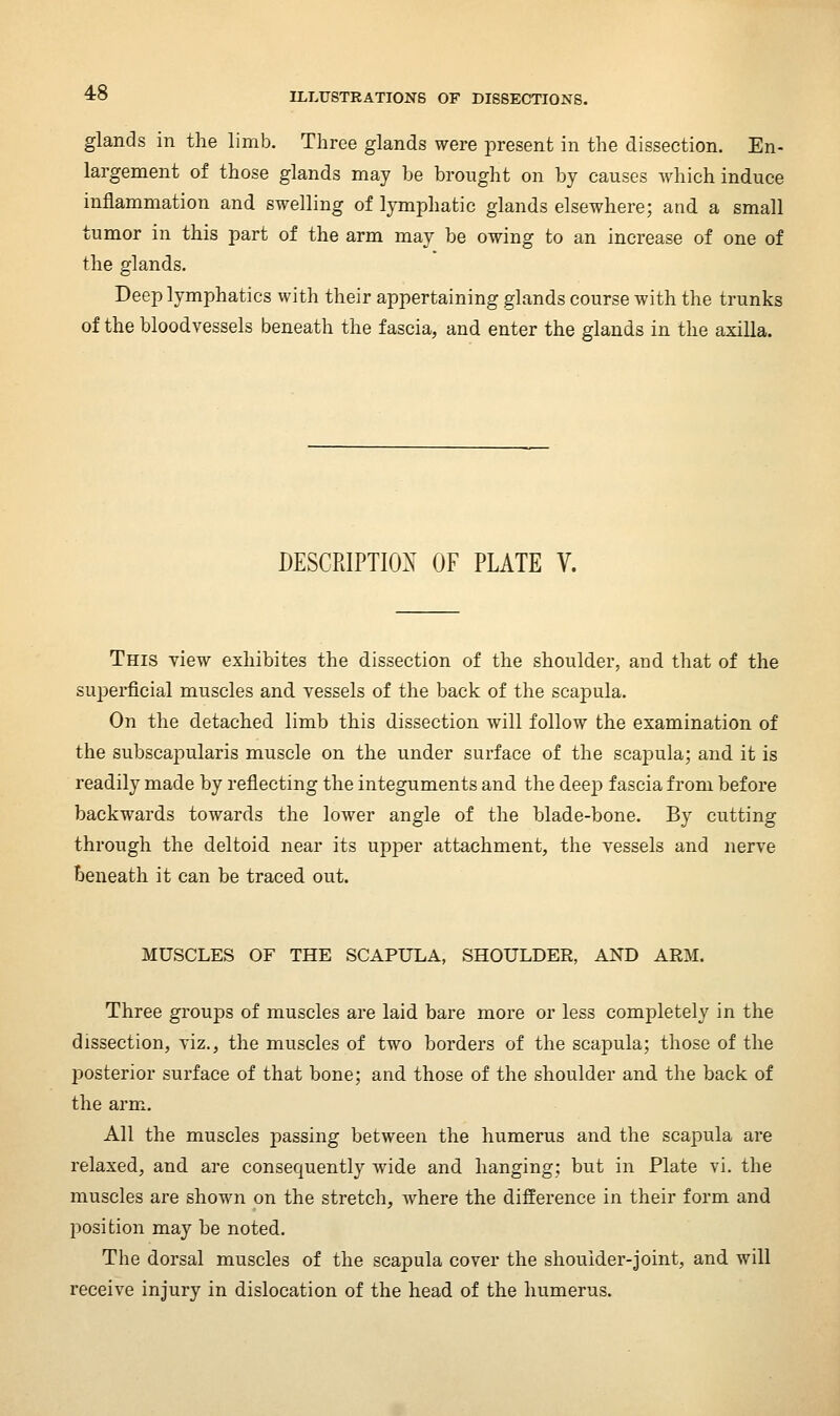glands in the limb. Three glands were present in the dissection. En- largement of those glands may be brought on by causes which induce inflammation and swelling of lymphatic glands elsewhere; and a small tumor in this part of the arm may be owing to an increase of one of the glands. Deep lymphatics with their appertaining glands course with the trunks of the bloodvessels beneath the fascia, and enter the glands in the axilla. DESCRIPTIONS^ OF PLATE V. This view exhibites the dissection of the shoulder, and that of the superficial muscles and vessels of the back of the scapula. On the detached limb this dissection will follow the examination of the subscapularis muscle on the under surface of the scapula; and it is readily made by reflecting the integuments and the deej) fascia from before backwards towards the lower angle of the blade-bone. By cutting through the deltoid near its upper attachment, the vessels and nerve beneath it can be traced out. MUSCLES OF THE SCAPULA, SHOULDEE, AND ARM. Three groups of muscles are laid bare more or less completely in the dissection, viz., the muscles of two borders of the scapula; those of the posterior surface of that bone; and those of the shoulder and the back of the arm. All the muscles passing between the humerus and the scapula are relaxed, and are consequently wide and hanging; but in Plate vi. the muscles are shown on the stretch, where the difference in their form and position may be noted. The dorsal muscles of the scapula cover the shoulder-joint, and will receive injury in dislocation of the head of the humerus.