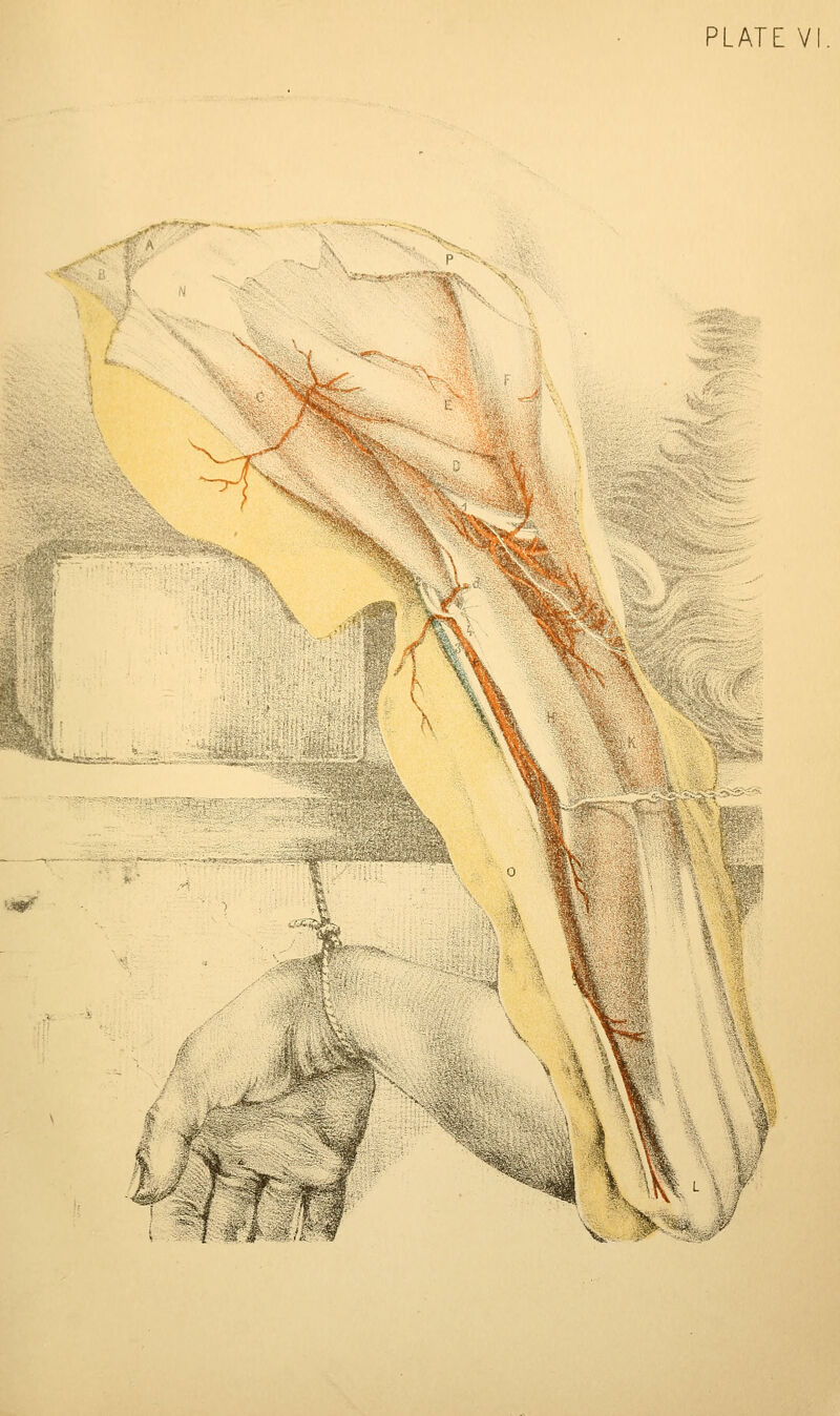 %,• '''''*^ ^^. r^^ ■■SKsast*''