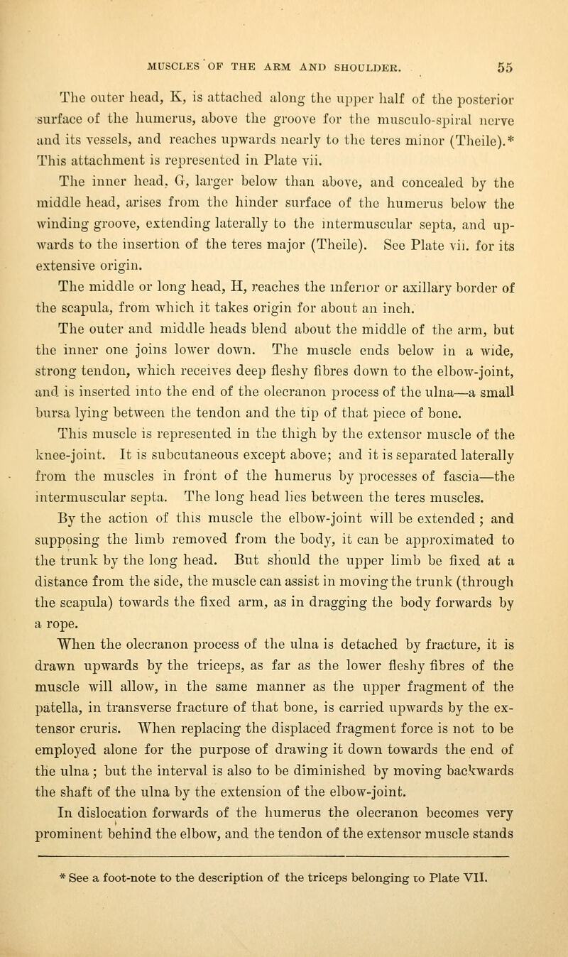 The outer liead, K, is attached along the upper lialf of the posterior surface of the humerus, above the groove for the musculo-spiral nerve and its vessels, and reaches upwards nearly to the teres minor (Theile).* This attachment is represented in Plate vii. The inner head, G, larger below than above, and concealed by the middle head, arises from the hinder surface of the humerus below the winding groove, extending laterally to the intermuscular septa, and up- wards to the insertion of the teres major (Theile). See Plate vii. for its extensive origin. The middle or long head, H, reaches the inferior or axillary border of the scapula, from which it takes origin for about an inch. The outer and middle heads blend about the middle of the arm, but the inner one joins lower down. The muscle ends below in a wide, strong tendon, which receives deep jfleshy fibres down to the elbow-joint, and is inserted into the end of the olecranon process of the ulna—a small bursa lying between the tendon and the tip of that piece of bone. This muscle is represented in the thigh by the extensor muscle of the knee-joint. It is subcutaneous except above; and it is separated laterally from the muscles in front of the humerus by processes of fascia—the intermuscular septa. The long head lies between the teres muscles. By the action of this muscle the elbow-joint will be extended; and supposing the limb removed from the body, it can be approximated to the trunk by the long head. But should the upper limb be fixed at a distance from the side, the muscle can assist in moving the trunk (through the scapula) towards the fixed arm, as in dragging the body forwards by a rope. When the olecranon process of the ulna is detached by fracture, it is drawn upwards by the triceps, as far as the lower fleshy fibres of the muscle will allow, in the same manner as the upper fragment of the patella, in transverse fracture of that bone, is carried upwards by the ex- tensor cruris. When replacing the displaced fragment force is not to be employed alone for the purpose of drawing it down towards the end of the ulna ; but the interval is also to be diminished by moving backwards the shaft of the ulna by the extension of the elbow-joint. In dislocation forwards of the humerus the olecranon becomes very prominent behind the elbow, and the tendon of the extensor muscle stands * See a foot-note to the description of the triceps belonging to Plate VII.
