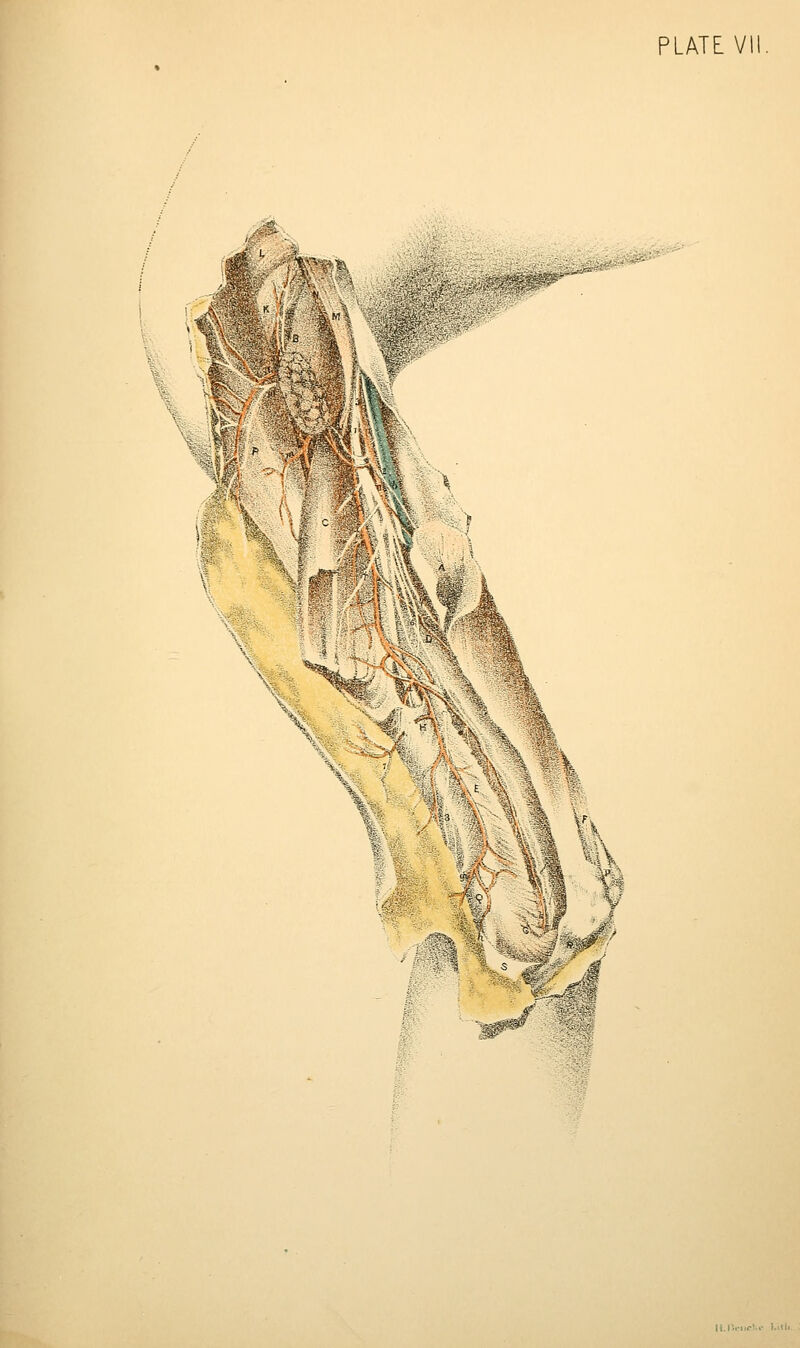 i-^^^m^ K \ > r,Sl ^^ ^ *■ If % ^: a M^