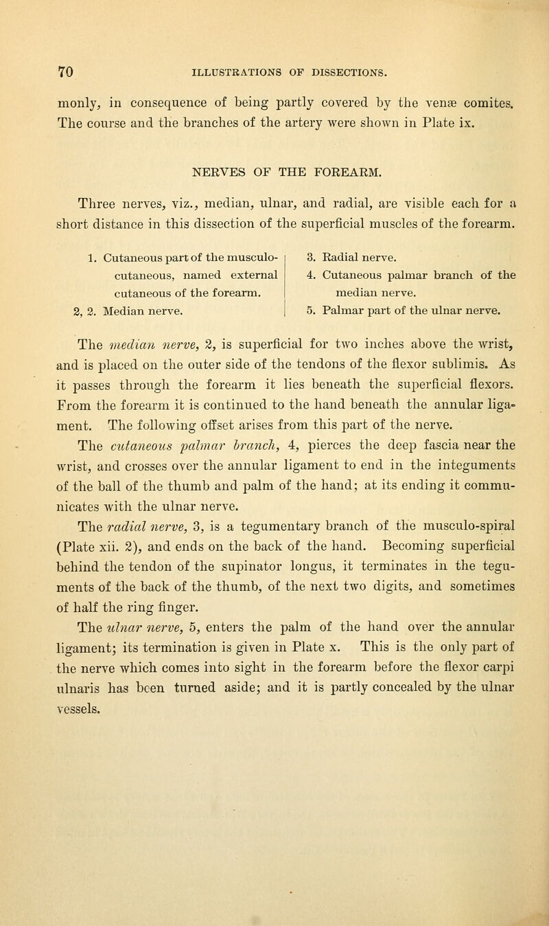 monly, in consequence of being partly covered by the venae comites. The course and the branches of the artery were shown in Plate ix. NERVES OF THE FOREARM. Three nerves, viz., median, ulnar, and radial, are visible each for a short distance in this dissection of the superficial muscles of the forearm. 1. Cutaneous part of the musculo- cutaneous, named external cutaneous of the forearm. 2, 3. Median nerve. 3. Radial nerve. 4. Cutaneous palmar branch of the median nerve. 5. Palmar part of the ulnar nerve. The median nerve, 2, is superficial for two inches above the wrist, and is placed on the outer side of the tendons of the flexor sublimis. As it passes through the forearm it lies beneath the superficial flexors. From the forearm it is continued to the hand beneath the annular liga- ment. The following offset arises from this part of the nerve. The cutaneous ijalmar Irancli, 4, pierces the deep fascia near the wrist, and crosses over the annular ligament to end in the integuments of the ball of the thumb and palm of the hand; at its ending it commu- nicates with the ulnar nerve. The radial nerve, 3, is a tegumentary branch of the musculo-spiral (Plate xii. 2), and ends on the back of the hand. Becoming superficial behind the tendon of the supinator longus, it terminates in the tegu- ments of the back of the thumb, of the next two digits, and sometimes of half the ring finger. The ulnar nerve, 5, enters the palm of the hand over the annular ligament; its termination is given in Plate x. This is the only part of the nerve which comes into sight in the forearm before the flexor carpi ulnaris has been turned aside; and it is partly concealed by the ulnar vessels.