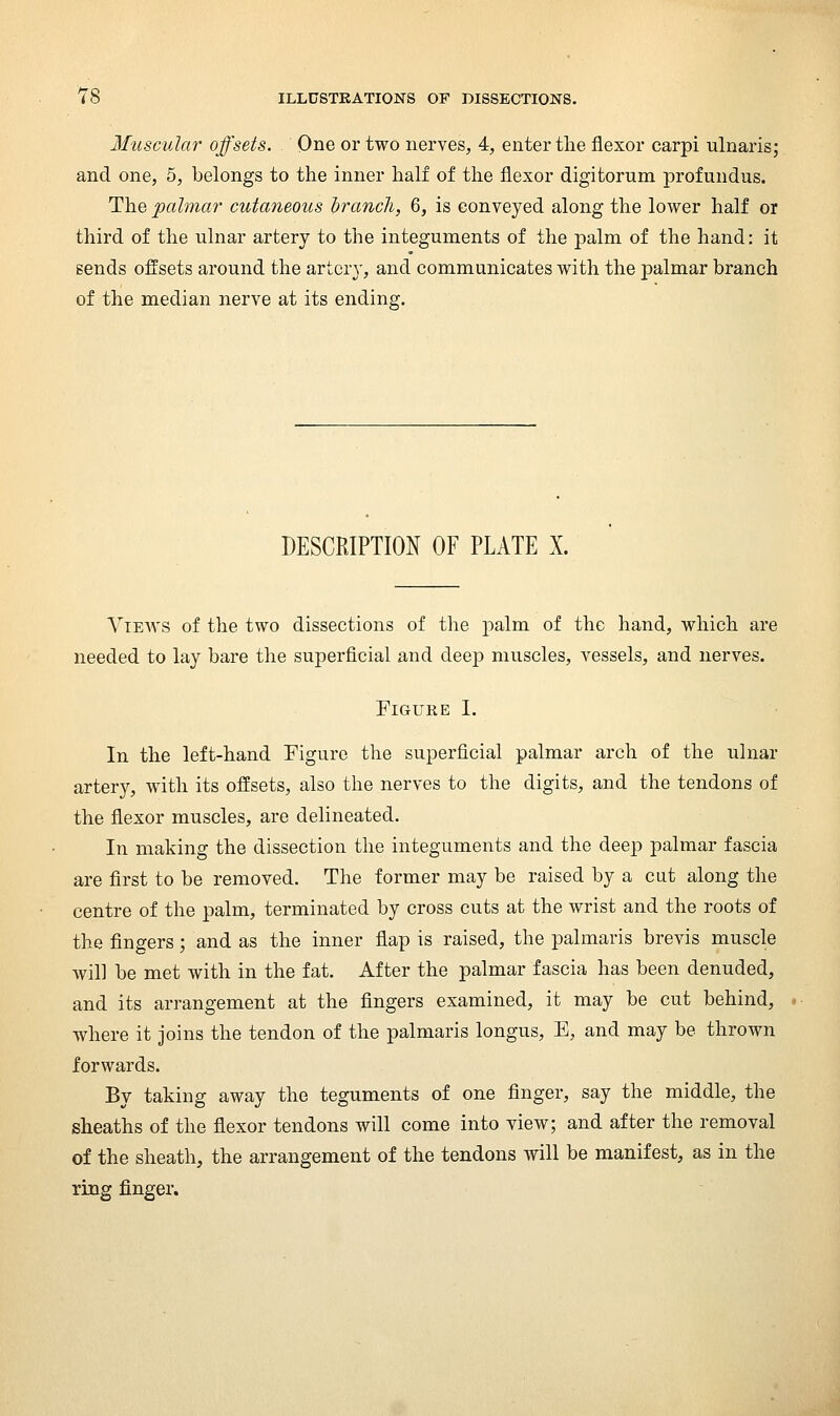 Muscular offsets. One or two nerves, 4, enter the flexor carpi ulnaris; and one, 5, belongs to the inner half of the flexor digitorum profundus. The palmar cutaneous hrancli, 6, is conveyed along the lower half or third of the ulnar artery to the integuments of the palm of the hand: it sends offsets around the artery, and communicates with the palmar branch of the median nerve at its ending. DESCRIPTION OF PLATE X. Views of the two dissections of the palm of the hand, which are needed to lay bare the superficial and dee|) muscles, vessels, and nerves. Figure 1. In the left-hand Figure the superficial palmar arch of the ulnar artery, with its offsets, also the nerves to the digits, and the tendons of the flexor muscles, are delineated. In making the dissection the integuments and the deep palmar fascia are first to be removed. The former may be raised by a cut along the centre of the palm, terminated by cross cuts at the wrist and the roots of the fingers; and as the inner flap is raised, the palmaris brevis muscle will be met with in the fat. After the palmar fascia has been denuded, and its arrangement at the fingers examined, it may be cut behind, where it joins the tendon of the palmaris longus, E, and may be thrown forwards. By taking away the teguments of one finger, say the middle, the sheaths of the flexor tendons will come into view; and after the removal of the sheath, the arrangement of the tendons will be manifest, as in the ring finger.