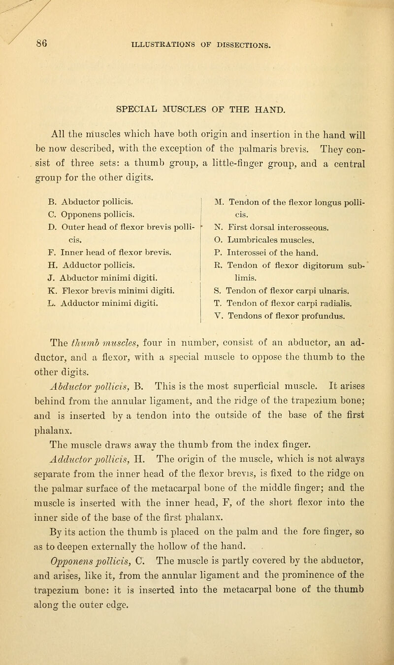 SPECIAL MUSCLES OF THE HAND. All the muscles which have both origin and insertion in the hand will be now described, with the exception of the pulmaris brevis. They con- sist of three sets: a thumb group, a little-finger group, and a central group for the other digits. B. Abductor pollicis. C. Opponens pollicis. D. Outer head of flexor brevis polli- cis. F. Inner head of flexor brevis. H. Adductor pollicis. J. Abductor minimi digiti. K. Flexor brevis minimi digiti, L. Adductor minimi digiti. M. Tendon of the flexor longus polli- cis. N. First dorsal interosseous. O. Lumbricales muscles. P. Interossei of the hand. R. Tendon of flexor digitorum sub- limis. S. Tendon of flexor carpi ulnaris. T. Tendon of flexor carpi radialis. V. Tendons of flexor profundus. The tliumh muscles, four in number, consist of an abductor, an ad- ductor, and a flexor, with a special muscle to oppose the thumb to the other digits. Abductor pollicis, B. This is the most superficial muscle. It arises behind from the annular ligament, and the ridge of the trapezium bone; and is inserted by a tendon into the outside of the base of the first phalanx. The muscle draws away the thumb from the index finger. Adductorp)ollicis, H. The origin of the muscle, which is not always separate from the inner head of the flexor brevis, is fixed to the ridge on the palmar surface of the metacarpal bone of the middle finger; and the muscle is inserted with the inner head, F, of the short flexor into the inner side of the base of the first phalanx. By its action the thumb is placed on the palm and the fore finger, so as to deepen externally the hollow of the hand. Opponens pollicis, C. The muscle is partly covered by the abductor, and arises, like it, from the annular ligament and the prominence of the trapezium bone: it is inserted into the metacarpal bone of the thumb along the outer edge.