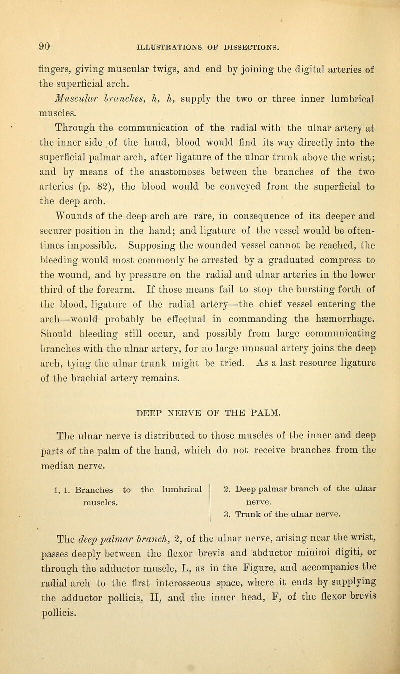 fingers, giving muscular twigs, and end by joining the digital arteries of the superficial arch. Muscular tranches, h, h, supply the two or three inner lumbrical muscles. Through the communication of the radial with the ulnar artery at the inner side of the hand, blood would find its way directly into the superficial palmar arch, after ligature of the ulnar trunk above the wrist; and by means of the anastomoses between the branches of the two arteries (p. 82), the blood would be conveyed from the superficial to the deep arch. Wounds of the deep arch are rare, in consequence of its deeper and securer position in the hand; and ligature of the vessel would be often- times impossible. Supposing the wounded vessel cannot be reached, the bleeding would most commonly be arrested by a graduated compress to the wound, and by pressure on the radial and ulnar arteries in the lower third of the forearm. If those means fail to stop the bursting forth of the blood, ligature of the radial artery—the chief vessel entering the arch—would probably be effectual in commanding the ha3morrhage. vShould bleeding still occur, and possibly from large communicating branches with the ulnar artery, for no large unusual artery joins the deep arch, tying the ulnar trunk might be tried. As a last resource ligature of the brachial artery remains. DEEP NERVE OF THE PALM. The ulnar nerve is distributed to those muscles of the inner and deep parts of the palm of the hand, which do not receive branches from the median nerve. 1, 1. Branches to the lumbrical muscles. 2. Deep palmar branch of the ulnar nerve. 3. Trunk of the ulnar nerve. The deep palmar branch, 2, of the ulnar nerve, arising near the wrist, passes deeply between the flexor brevis and abductor minimi digiti, or through the adductor muscle, L, as in the Figure, and accompanies the radial arch to the first interosseous space, where it ends by supplying the adductor pollicis, H, and the inner head, F, of the flexor brevis pollicis.