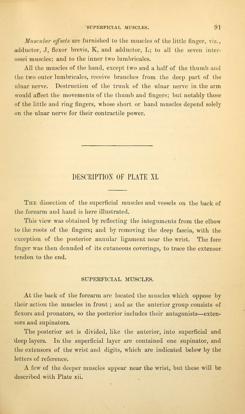 Muscular offseis are furnished to the muscles of the little finger, viz., adductor, J, flexor brevis, K, and adductor, L; to all the seven inter- ossei muscles; and to the inner two lumbricales. All the muscles of the hand, except two and a half of the thumb and the two outer lumbricales, receive branches from the deep part of the ulnar nerve. Destruction of the trunk of the ulnar nerve in the arm Avould affect the movements of the thumb and fingers; but notably those of the little and ring fingers, whose short or hand muscles depend solely on the ulnar nerve for their contractile power. DESCRIPTION OF PLATE XI. The dissection of the superficial muscles and vessels on the back of the forearm and hand is here illustrated. This view was obtained by reflecting the integuments from the elbow to the roots of the fingers; and by removing the deep fascia, with the exception of the posterior annular ligament near the wrist. The fore finger was then denuded of its cutaneous coverings, to trace the extensor tendon to the end. SUPERFICIAL MUSCLES. At the back of the forearm are located the muscles which oppose by their action the muscles in front; and as the anterior group consists of flexors and pronators, so the posterior includes their antagonists—exten- sors and supinators. The posterior set is divided, like the anterior, into superficial and deep layers. In the superficial layer are contained one supinator, and the extensors of the wrist and digits, which are indicated below by the letters of reference. A few of the deeper muscles appear near the wrist, but these will be described with Plate xii.