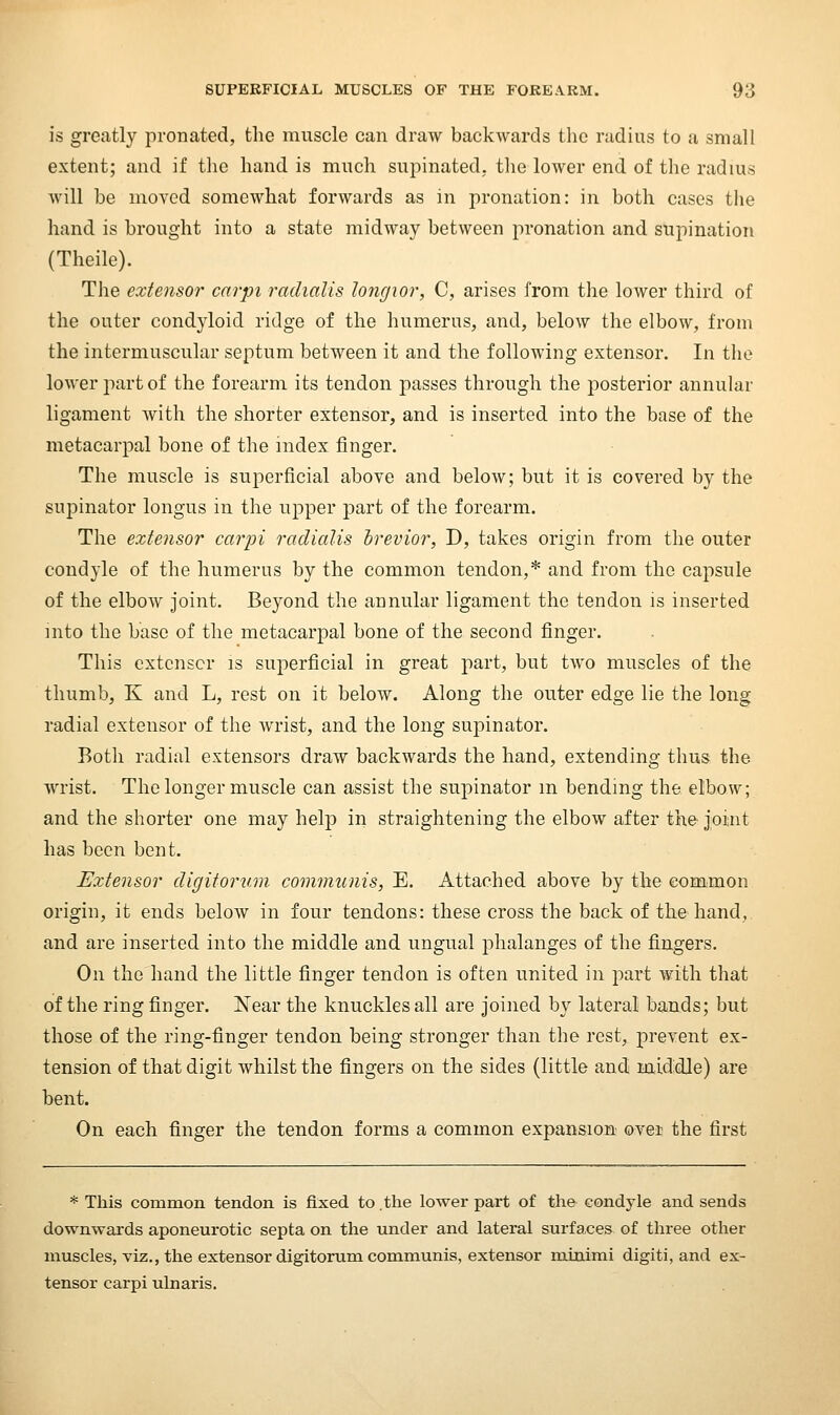 is greatly pronated, the muscle can draw backwards the radius to a small extent; and if the hand is much supinated, tlie lower end of the radius will be moved somewhat forwards as in pronation: in both cases the hand is brought into a state midway between pronation and supination (Theile). The extensor carpi radialis longior, C, arises from the lower third of the outer condyloid ridge of the humerus, and, below the elbow, from the intermuscular septum between it and the following extensor. In the lower joart of the forearm its tendon passes through the posterior annular ligament Avith the shorter extensor, and is inserted into the base of the metacarpal bone of the index finger. The muscle is superficial above and below; but it is covered by the supinator longus in the upper j^art of the forearm. The extensor carpi radialis irevior, D, takes origin from the outer condyle of the humerus by the common tendon,* and from the capsule of the elbow joint. Beyond the annular ligament the tendon is inserted into the base of the metacarpal bone of the second finger. This extensor is superficial in great part, but two muscles of the thumb, K and L, rest on it below. Along the outer edge lie the long radial extensor of the wrist, and the long supinator. Both radial extensors draw backwards the hand, extending thus the wrist. The longer muscle can assist the supinator m bending the elbow; and the shorter one may help in straightening the elbow after the joint has been bent. Extensor cligitorum communis, E. Attached above by the common origin, it ends below in four tendons: these cross the back of the hand, and are inserted into the middle and ungual phalanges of the fingers. On the hand the little finger tendon is often united in part with that of the ring finger. Near the knuckles all are joined by lateral bands; but those of the ring-finger tendon being stronger than the rest, prevent ex- tension of that digit whilst the fingers on the sides (little and middle) are bent. On each finger the tendon forms a common expansion over the first * This common tendon is fixed to.the lower part of the condyle and sends downwards aponeurotic septa on the under and lateral surfaces of three other muscles, viz., the extensor digitorum communis, extensor minimi digiti, and ex- tensor carpi ulnaris.