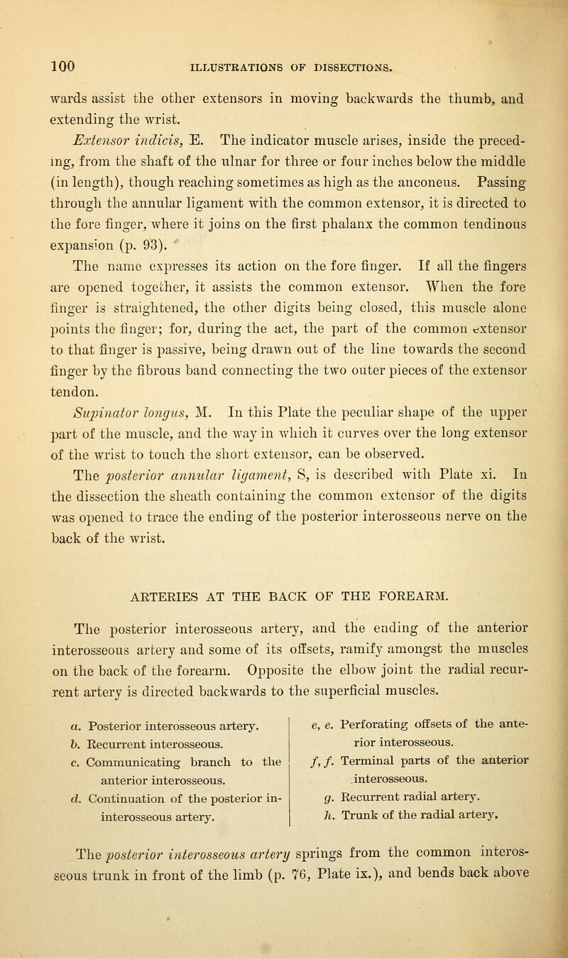 wards assist the other extensors in moving backwards the thumb, and extending the wrist. Extensor indicis, E. The indicator muscle arises, inside the preced- ing, from the shaft of the ulnar for three or four inches below the middle (in length), though reaching sometimes as high as the anconeus. Passing through the annular ligament with the common extensor, it is directed to the fore finger, where it joins on the first phalanx the common tendinous expansion (p. 93). The name expresses its action on the fore finger. If all the fingers are opened together, it assists the common extensor. When the fore finger is straightened, the other digits being closed, this muscle alone points the finger; for, during the act, the part of the common extensor to that finger is passive, being drawn out of the line towards the second finger by the fibrous band connecting the two outer pieces of the extensor tendon. Supinator longus, M. In this Plate the peculiar shape of the upper part of the muscle, and the way in which it curves over the long extensor of the wrist to touch the short extensor, can be observed. The posterior annular ligament, S, is described with Plate xi. In the dissection the sheath containing the common extensor of the digits was opened to trace the ending of the posterior interosseous nerve on the back of the wrist. ARTERIES AT THE BACK OF THE FOREARM. The posterior interosseous artery, and the ending of the anterior interosseous artery and some of its offsets, ramify amongst the muscles on the back of the forearm. Opposite the elbow joint the radial recur- rent artery is directed backwards to the superficial muscles. a. Posterior interosseous artery. h. Recurrent interosseous. c. Communicating branch, to tlie anterior interosseous. d. Continuation of the posterior in- interosseous artery. e, e. Perforating offsets of the ante- rior interosseous. /,/, Terminal parts of the anterior interosseous. g. Recurrent radial artery. h. Trunk of the radial artery. The posterior iiiterosseous artery springs from the common interos- seous trunk in front of the limb (p. 76, Plate ix.), and bends back above
