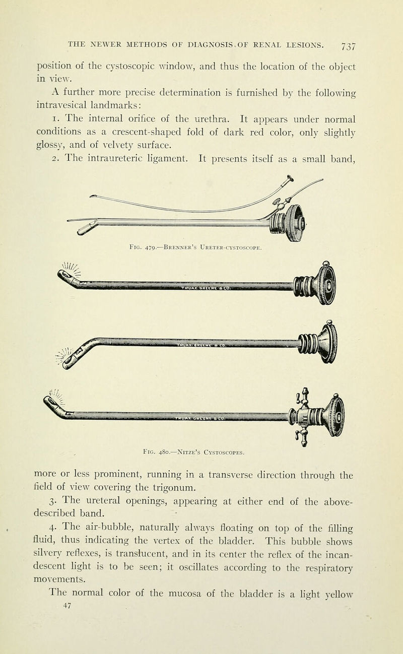 position of the cystoscopic window, and thus the location of the object in view. A further more precise determination is furnished by the following intravesical landmarks: 1. The internal orifice of the urethra. It appears under normal conditions as a crescent-shaped fold of dark red color, only shghtly glossy, and of velvety surface. 2. The intraureteric hgament. It presents itself as a small band, Fig. 479.—Brenner's Ureter-cystoscope. Fig. 480.—Nitze's Cystoscopes. more or less prominent, running in a transverse direction through the field of view covering the trigonum. 3. The ureteral openings, appearing at either end of the above- described band. 4. The air-bubble, naturally always floating on top of the tilhng fluid, thus indicating the vertex of the bladder. This bubble shows silvery reflexes, is translucent, and in its center the reflex of the incan- descent hght is to be seen; it oscillates according to the respiratory movements. The normal color of the mucosa of the bladder is a light yellow 47
