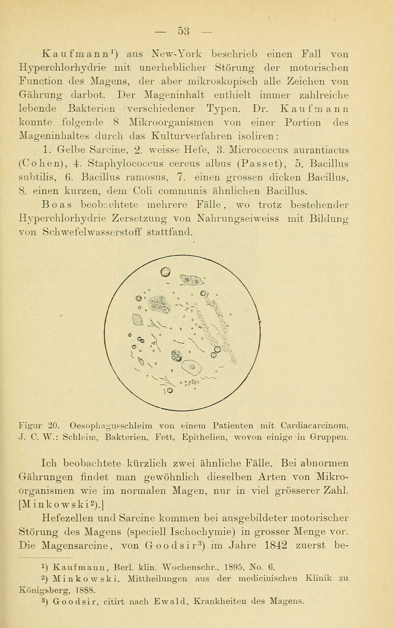 Kaufmann3) aus New-York beschrieb einen Fall von Hyperchlorhyclrie mit unerheblicher Störung der motorischen Function des Magens, der aber mikroskopisch alle Zeichen von Gährung darbot. Der Mageninhalt enthielt immer zahlreiche lebende Bakterien verschiedener Typen. Dr. Kaufmann konnte folgende 8 Mikroorganismen von einer Portion des Mageninhaltes durch das Kulturverfahren isoliren: 1. Gelbe Sarcine, 2. weisse Hefe, 3. Micrococcns aurantiacus (Cohen), -4. Staphylococcus cereus albus (Passet), 5. Bacillus subtilis, 6. Bacillus ramosus, 7. einen grossen dicken Bacillus, 8. einen kurzen, dem Coli communis ähnlichen Bacillus. Boas beobachtete mehrere Fälle, wo trotz bestehender Hyperchlorhydrie Zersetzung von Nahrungseiweiss mit Bildung von Schwefelwasserstoff stattfand. Figur 20. Oesophagusschleim von einem Patienten mit Cardiacarcinom. J. C. W.: Schleim, Bakterien, Fett, Epithelien, wovon einige in Gruppen. Ich beobachtete kürzlich zwei ähnliche Fälle. Bei abnormen Gährungen findet man gewöhnlich dieselben Arten von Mikro- organismen wie im normalen Magen, nur in viel grösserer Zahl. [Minkowski2).] Hefezellen und Sarcine kommen bei ausgebildeter motorischer Störung des Magens (speciell Ischochymie) in grosser Menge vor. Die Magensarcine, von Goodsir3) im Jahre 1842 zuerst be- !) Kaufmann, Berl. Hin. Wochenschr., 1895, No. 6. 2) Minkowski, Mittheilungen aus der medicinischen Klinik zu Königsberg, 1888. 3) G-oodsir, citirt nach Ewald, Krankheiten des Magens.