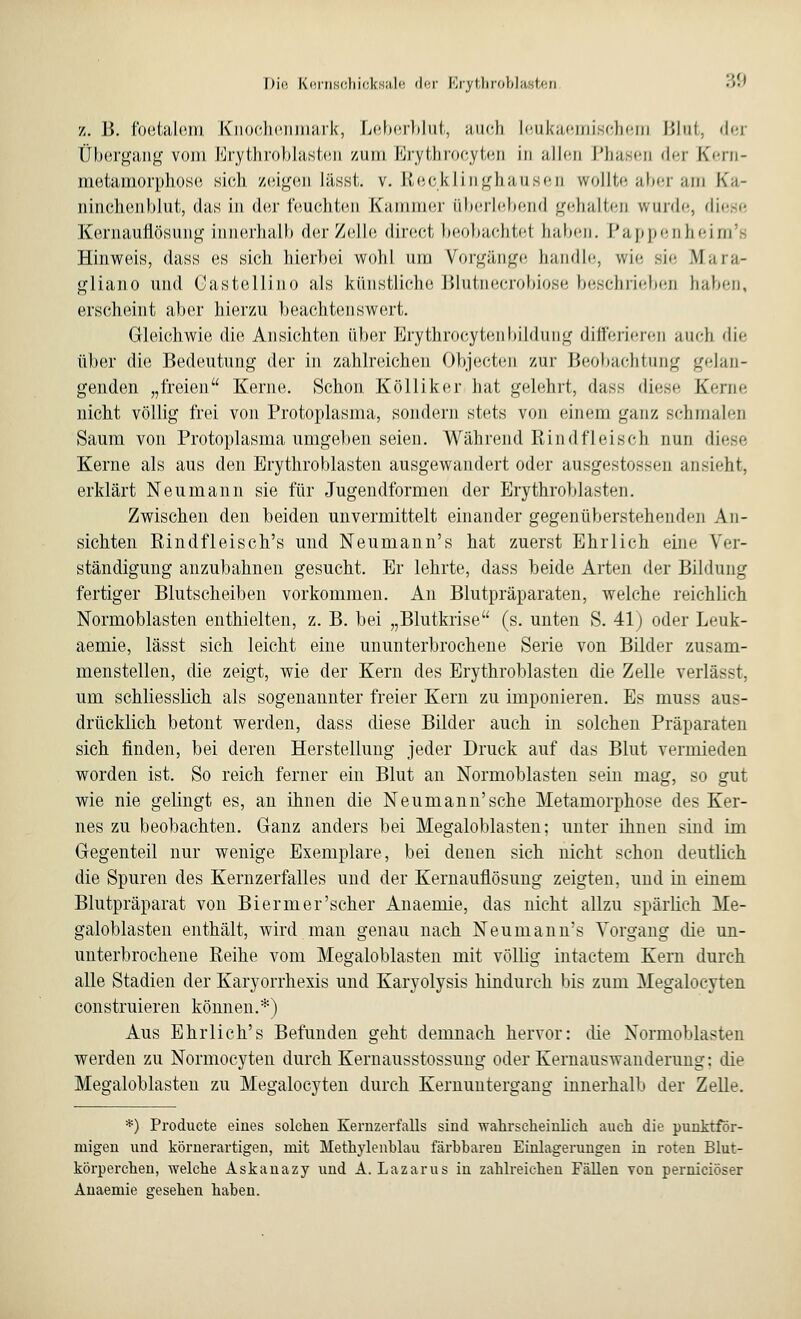 z. B. foetalem Knochenmark, Leberblut, auch leukaemischem Blut, der Übergang vom Erythroblasten zum Erythrocyten in allen Phasen der Cern- metamorphose sieh zeigen Läset, v. Recklinghausen wollte aber am Ka- ninchenblut, das in der feuchten Kammer überlebend gehalten wurde, diese Kernauflösung innerhalb der Zelle, direct beobachte! haben. Pappenheim's Hinweis, dass es sich hierbei wohl um Vorgänge handle, wie sie Utara- gliano und Gastellino als künstliche Blutnecrobiose beschrieben haben, erscheint aber hierzu beachtenswert. Gleichwie die Ansichten über Erythrocytenbildung differieren auch die über die Bedeutung der in zahlreichen Objecten zur Beobachtung gelan- genden „freien Kerne. Schon Kölliker hat gelehrt, dass diese Kerne nicht völlig frei von Protoplasma, sondern stets von einem ganz seh malen Saum von Protoplasma umgeben seien. Während Rindfleisch nun diese Kerne als aus den Erythroblasten ausgewandert oder ausgestossen ansieht, erklärt Neu mann sie für Jugendformen der Erythroblasten. Zwischen den beiden unvermittelt einander gegenüberstehenden An- sichten Rindfleisch's und Neumann's hat zuerst Ehrlich eine Ver- ständigung anzubahnen gesucht. Er lehrte, dass beide Arten der Bildung fertiger Blutscheiben vorkommen. An Blutpräparaten, welche reichlich Normoblasten enthielten, z. B. bei „Blutkrise (s. unten S. 41) oder Leuk- aemie, lässt sich leicht eine ununterbrochene Serie von Bilder zusam- menstellen, die zeigt, wie der Kern des Erythroblasten die Zelle verlässt, um schliesslich als sogenannter freier Kern zu imponieren. Es muss aus- drücklich betont werden, dass diese Bilder auch in solchen Präparaten sich finden, bei deren Herstellung jeder Druck auf das Blut vermieden worden ist. So reich ferner ein Blut an Normoblasten sein mag, so gut wie nie gelingt es, an ihnen die Neumann'sehe Metamorphose des Ker- nes zu beobachten. Ganz anders bei Megaloblasten; unter ihnen sind im Gegenteil nur wenige Exemplare, bei denen sich nicht schon deutlieh die Spuren des Kernzerfalles und der Kernauflösung zeigten, und in einem Blutpräparat von Bierm er'scher Anaemie, das nicht allzu spärlich Me- galoblasten enthält, wird man genau nach Neumann's Vorgang die un- unterbrochene Reihe vom Megaloblasten mit völlig intactem Kern durch alle Stadien der Karyorrhexis und Karyolysis hindurch bis zum Megalocyten construieren können.*) Aus Ehrlich's Befunden geht demnach hervor: die Normoblasten werden zu Normocyten durch Kernausstossung oder Kernauswanderung: die Megaloblasten zu Megalocyten durch Kernuntergang innerhalb der Zelle. *) Producte eines solchen Kernzerfalls sind wahrscheinlich auch die punktför- migen und körnerartigen, mit Methylenblau färbbaren Einlagerungen in roten Blut- körperchen, welche Askanazy und A.Lazarus in zahlreichen Fällen von pernieiöser Anaemie gesehen haben.