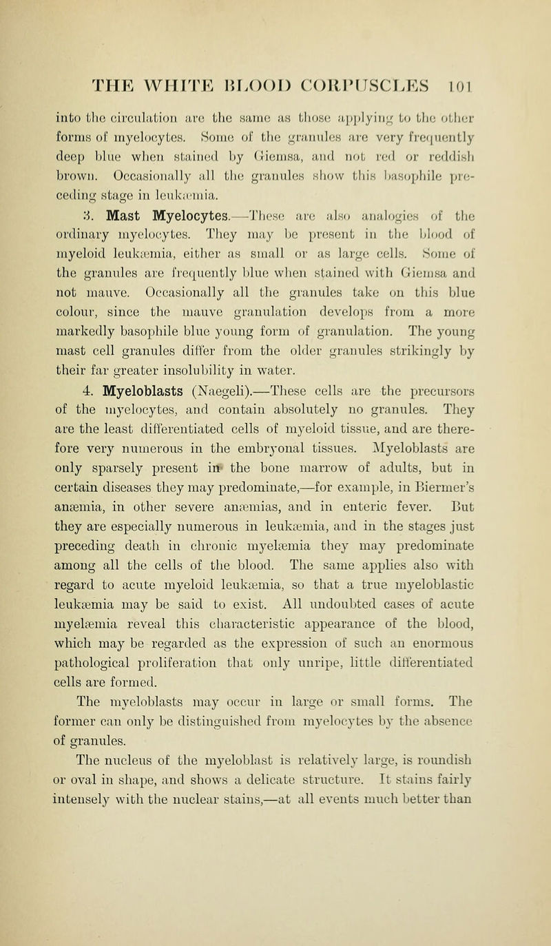 into tli(! (;ii'cii];i,lyi<)ii ;m'(! the siuik; a.s iJiosc, ;i'|)i)lyiii;^' Lo Uia rjLlicr forms of myelocytes. Homo of the gninuloH aie very frequently deep blue when stained by (liemsa, and not red or reddish brown. Occasionally ;ill the granules show this has(jphile pre- ceding sta,(i;o in hiukicniia. 3. Mast Myelocytes.—These are also analogies of thf; ordinary myelocytes. They may Ijc present in the blood of myeloid leuktemia, either as small or as large cells. Some of the granules are i'rc([uently l)lue when stained with Giemsa and not mauve. Occasionally all the granules take on this blue colour, since the mauve granulation develops from a more markedly basophile blue young form of granulation. The young mast cell granules differ from the older granules strikingly jjy their far greater insolubility in water. 4. Myeloblasts (Naegeli).—These cells are the precursors of the myelocytes, and contain absolutely no granules. They are the least diiierentiated cells of myeloid tissue, and are there- fore very numerous in the embryonal tissues. ^lyeloblasts are only sparsely present in- the bone marrow of adults, but in certain diseases they may predominate,—for example, in Biermer's ansemia, in other severe ana?mias, and in enteric fever. But they are especially numerous in leukaemia, and in the stages just preceding death in chronic myehemia they may predominate among all the cells of the blood. The same applies also with regard to acute myeloid leukiemia, so that a true myeloblastic leukemia may be said to exist. All undoubted cases of acute myelremia reveal this characteristic appearance of the blood, which may be regarded as the expression of such an enormous pathological proliferation that only unripe, little differentiated cells are formed. The myeloblasts may occiir in large or small forms. The former can only be distinguished from myelocytes by the absence of granules. The nucleus of the myeloblast is relatively large, is roundish or oval in shape, and shows a delicate structure. It stains fairly intensely with the nuclear stains,—at all events much better than