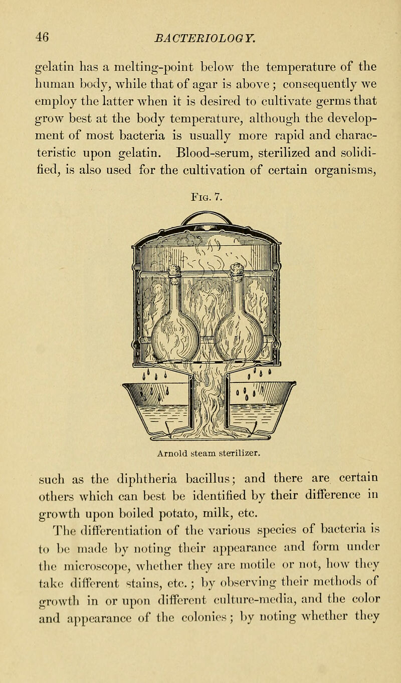 gelatin has a melting-point below the temperature of the human body, while that of agar is above; consequently we employ the latter when it is desired to cultivate germs that grow best at the body temperature, although the develop- ment of most bacteria is usually more rapid and charac- teristic upon gelatin. Blood-serum, sterilized and solidi- fied, is also used for the cultivation of certain organisms, Fig. 7. Arnold steam sterilizer. such as the diphtheria bacillus; and there are certain others which can best be identified by their difference in growth upon boiled potato, milk, etc. The differentiation of the various species of bacteria is to be made by noting their appearance and form under the microscope, wliethcr they are motile or not, how tliey take different stains, etc.; by observing their methods of growth in or upon different culture-media, and the color and appearance of the colonics; by noting whether tlujy