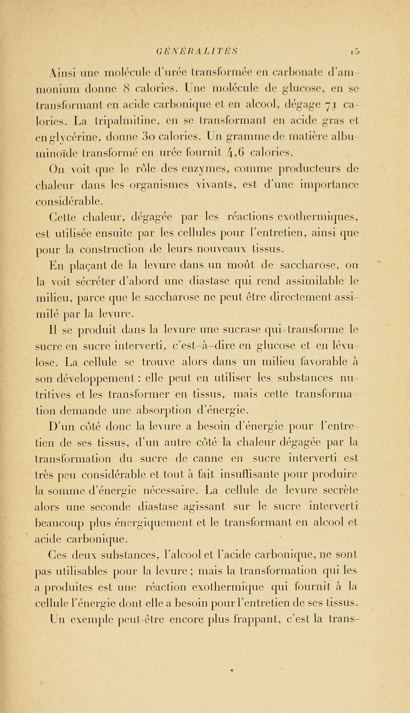 GEM'IRALITES u> Ainsi une molécule d'iiréc lianslormée en carbr)nale d'am- monium donne 8 calories. \jnc molécule de glucose, en se Iranslbrmant en acide carbonique el en alcool, dégage 71 ca- lories. La Iripalmiline, en se transformant en acide gras et en glycérine, donne 3o calories. Un gramme de matière albu- miiioïde transformé en urée fournit 4,6 calories. On voit que le rôle des enzymes, comme producteurs de chaleur dans les organismes vivants, est d'une importance considérable. Cette chaleur, dégagée par les réactions exothermiques, est utilisée ensuite par les cellules pour l'entretien, ainsi que pour la construction de leurs nouveaux tissus. En plaçant de la levure dans un moût de saccharose, on la voit sécréter d'ahord une diastase qui rend assimilable le milieu, parce que le saccharose ne peut être directement assi- milé par la levure. Il se produit dans la levure une sucrase qui transforme le sucre en sucre interverti, c'est-à-dire en glucose et en lévu- lose. La cellule se trouve alors dans un milieu favorable à son développement : elle peut en utiliser les substances nu- tritives et les transformer en tissus, mais cette transforma- lion demande une absorption d'énergie. D'un côté donc la levure a besoin d'énergie pour l'entre- tien de ses tissus, d'un autre côté la chaleur dégagée par la transformation du sucre de canne en sucre interverti est très peu considérable et tout à fait insuffisante pour produire la somme d'énergie nécessaire. La cellule de levure secrète alors une seconde diastase agissant sur le sucre interverti beaucoup plus éacrgiquement et le transformant en alcool et acide carbonicpie. Ces deux substances, l'alcool et l'acide carbonique, ne sont pas utilisables pour la levure ; mais la transformation qui les a produites est une réaction exothermique qui fournit à la cellule l'énergie dont elle a besoin pour l'entretien de ses tissus. Un exemple pcul-ètre encore plus frappant, c'est la trans-