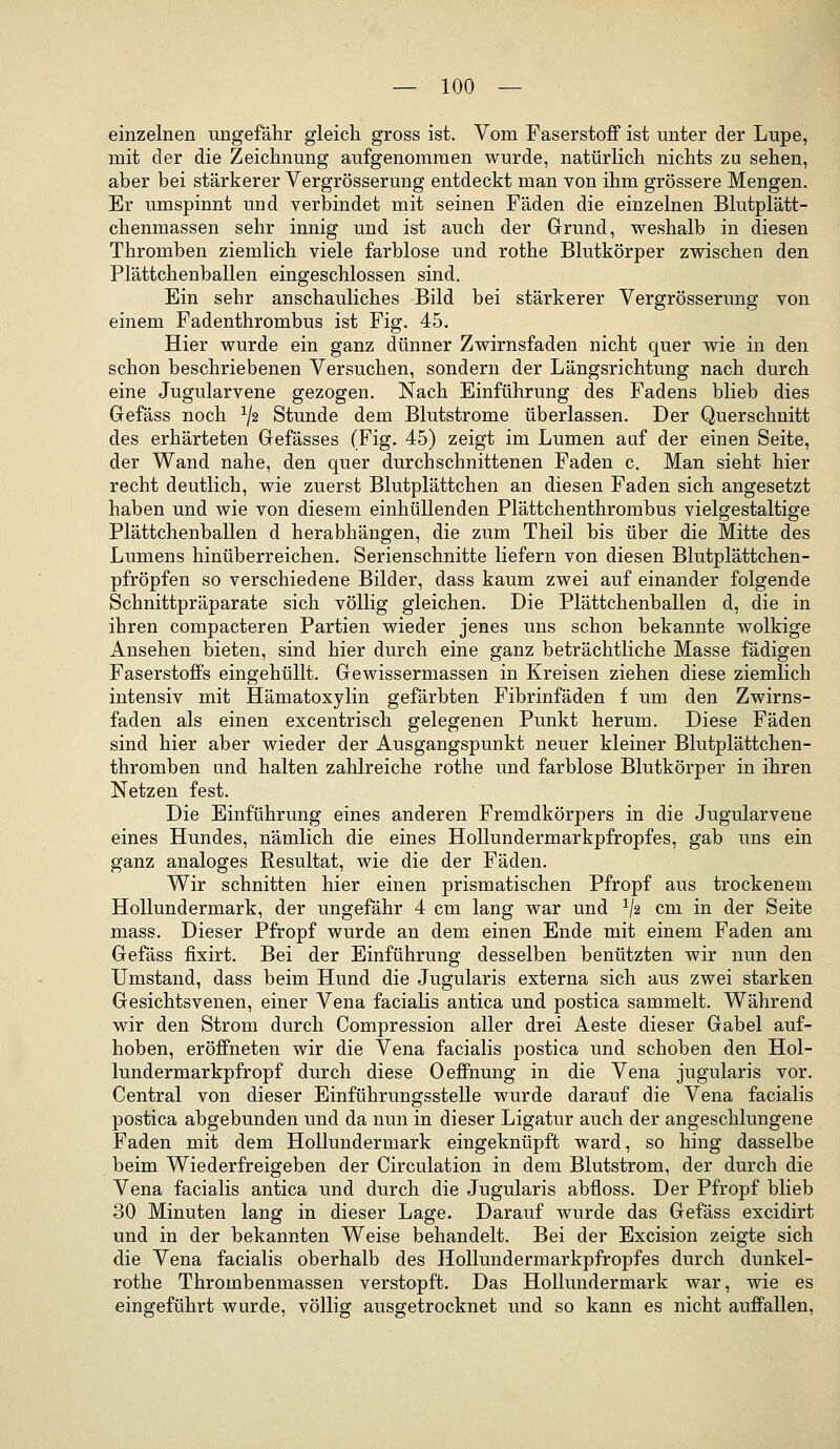 einzelnen ungefähr gleich gross ist. Vom Faserstoff ist unter der Lupe, mit der die Zeichnung aufgenommen wurde, natürlich nichts zu sehen, aber bei stärkerer Vergrösserung entdeckt man von ihm grössere Mengen. Er umspinnt und verbindet mit seinen Fäden die einzelnen Blutplätt- chenmassen sehr innig und ist auch der Grund, weshalb in diesen Thromben ziemlich viele farblose und rothe Blutkörper zwischen den Plättchenballen eingeschlossen sind. Ein sehr anschauliches Bild bei stärkerer Vergrösserung von einem Fadenthrombus ist Fig. 45. Hier wurde ein ganz dünner Zwirnsfaden nicht quer wie in den schon beschriebenen Versuchen, sondern der Längsrichtung nach durch eine Jugularvene gezogen. Nach Einführung des Fadens blieb dies Gefäss noch ^2 Stunde dem Blutstrome überlassen. Der Querschnitt des erhärteten Gefässes (Fig. 45) zeigt im Lumen auf der einen Seite, der Wand nahe, den quer durchschnittenen Faden c. Man sieht hier recht deutlich, wie zuerst Blutplättchen an diesen Faden sich angesetzt haben und wie von diesem einhüllenden Plättchenthrombus vielgestaltige Plättchenballen d herabhängen, die zum Theil bis über die Mitte des Lumens hinüberreichen. Serienschnitte liefern von diesen Blutplättchen- pfröpfen so verschiedene Bilder, dass kaum zwei auf einander folgende Schnittpräparate sich völlig gleichen. Die Plättchenballen d, die in ihren compacteren Partien wieder jenes uns schon bekannte wolkige Ansehen bieten, sind hier durch eine ganz beträchtliche Masse fädigen Faserstoffs eingehüllt. Gewissermassen in Kreisen ziehen diese ziemlich intensiv mit Hämatoxylin gefärbten Fibrinfäden f um den Zwirns- faden als einen excentrisch gelegenen Punkt herum. Diese Fäden sind hier aber wieder der Ausgangspunkt neuer kleiner Blutplättchen- thromben and halten zahlreiche rothe und farblose Blutkörper in ihren Netzen fest. Die Einführung eines anderen Fremdkörpers in die Jugularvene eines Hundes, nämlich die eines Hollundermarkpfropfes, gab uns ein ganz analoges Resultat, wie die der Fäden. Wir schnitten hier einen prismatischen Pfropf aus trockenem HoUundermark, der ungefähr 4 cm lang war und ^/a cm in der Seite mass. Dieser Pfropf wurde an dem einen Ende mit einem Faden am Gefäss fixirt. Bei der Einführung desselben benützten wir nun den Umstand, dass beim Hund die Jugularis externa sich aus zwei starken Gesichtsvenen, einer Vena facialis antica und postica sammelt. Während wir den Strom durch Compression aller drei Aeste dieser Gabel auf- hoben, eröffneten wir die Vena facialis postica und schoben den Hol- lundermarkpfropf durch diese Oeffnung in die Vena jugularis vor. Central von dieser Einführvmgsstelle wurde darauf die Vena facialis postica abgebunden und da nun in dieser Ligatur auch der angeschlungene Faden mit dem HoUundermark eingeknüpft ward, so hing dasselbe beim Wiederfreigeben der Circulation in dem Blutstrom, der durch die Vena facialis antica und durch die Jugularis abfloss. Der Pfropf blieb 30 Minuten lang in dieser Lage. Darauf wurde das Gefäss excidirt und in der bekannten Weise behandelt. Bei der Excision zeigte sich die Vena facialis oberhalb des Hollundermarkpfropfes durch dunkel- rothe Thrombenmassen verstopft. Das HoUundermark war, wie es eingeführt wurde, völlig ausgetrocknet und so kann es nicht auffallen.