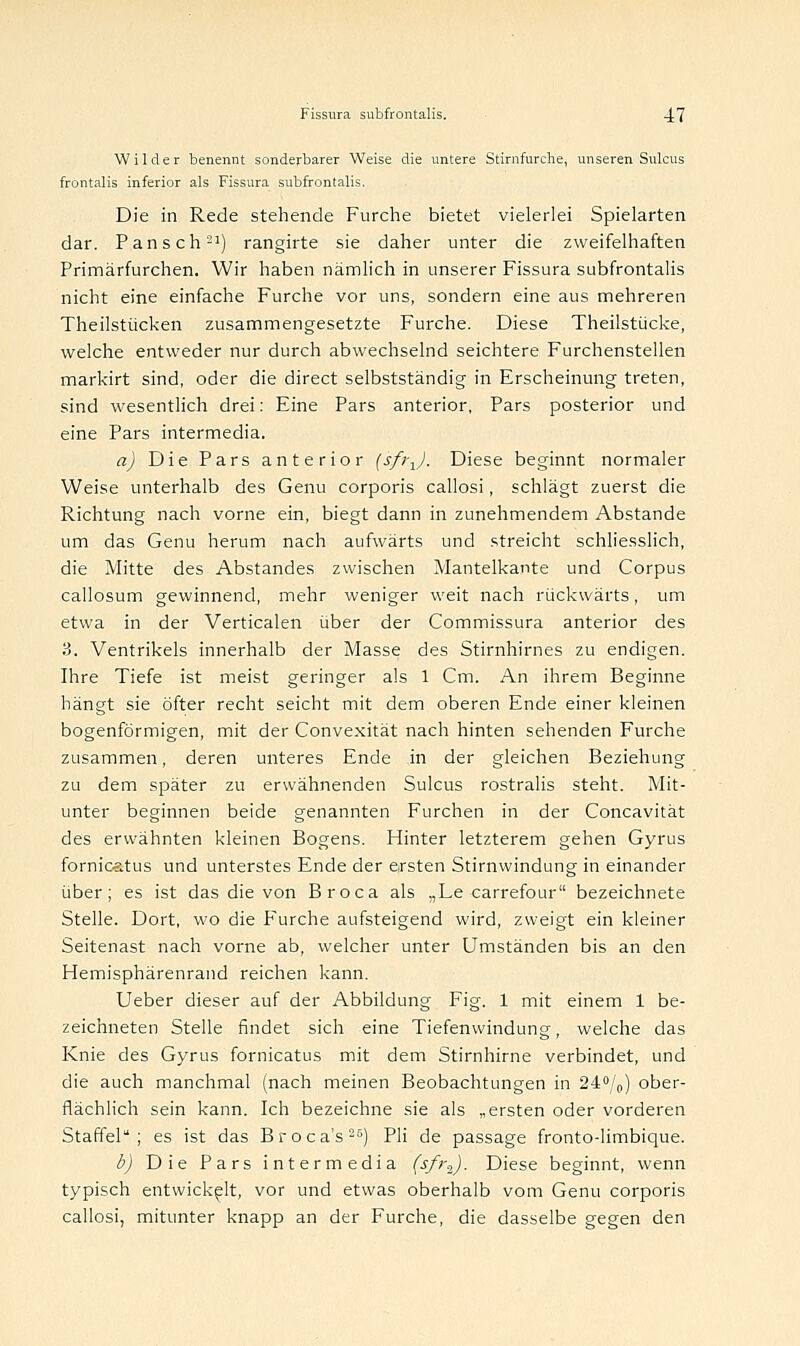 Wilder benennt sonderbarer Weise die untere Stirnfurche, unseren Sulcus frontalis inferior als Fissura subfrontalis. Die in Rede stehende Furche bietet vielerlei Spielarten dar. Pansch21) rangirte sie daher unter die zweifelhaften Primärfurchen. Wir haben nämlich in unserer Fissura subfrontalis nicht eine einfache Furche vor uns, sondern eine aus mehreren Theilstücken zusammengesetzte Furche. Diese Theilstücke, welche entweder nur durch abwechselnd seichtere Furchenstellen markirt sind, oder die direct selbstständig in Erscheinung treten, sind wesentlich drei: Eine Pars anterior, Pars posterior und eine Pars intermedia. a) Die Pars anterior (sfrx). Diese beginnt normaler Weise unterhalb des Genu corporis callosi, schlägt zuerst die Richtung nach vorne ein, biegt dann in zunehmendem Abstände um das Genu herum nach aufwärts und streicht schliesslich, die Mitte des Abstandes zwischen Mantelkante und Corpus callosum gewinnend, mehr weniger weit nach rückwärts, um etwa in der Verticalen über der Commissura anterior des 3. Ventrikels innerhalb der Masse des Stirnhirnes zu endigen. Ihre Tiefe ist meist geringer als 1 Cm. An ihrem Beginne hängt sie öfter recht seicht mit dem oberen Ende einer kleinen bogenförmigen, mit der Convexität nach hinten sehenden Furche zusammen, deren unteres Ende in der gleichen Beziehung zu dem später zu erwähnenden Sulcus rostralis steht. Mit- unter beginnen beide genannten Furchen in der Concavität des erwähnten kleinen Bogens. Hinter letzterem gehen Gyrus fornicatus und unterstes Ende der ersten Stirnwindung in einander über; es ist das die von Broca als ,,Le carrefour bezeichnete Stelle. Dort, wo die Furche aufsteigend wird, zweigt ein kleiner Seitenast nach vorne ab, welcher unter Umständen bis an den Hemisphärenrand reichen kann. Ueber dieser auf der Abbildung Fig. 1 mit einem 1 be- zeichneten Stelle findet sich eine Tiefenwindung, welche das Knie des Gyrus fornicatus mit dem Stirnhirne verbindet, und die auch manchmal (nach meinen Beobachtungen in 24°/0) ober- flächlich sein kann. Ich bezeichne sie als „ersten oder vorderen Staffel; es ist das Broca's25) Pli de passage fronto-limbique. b) Die Pars intermedia (s/r2). Diese beginnt, wenn typisch entwickelt, vor und etwas oberhalb vom Genu corporis callosi, mitunter knapp an der Furche, die dasselbe gegen den