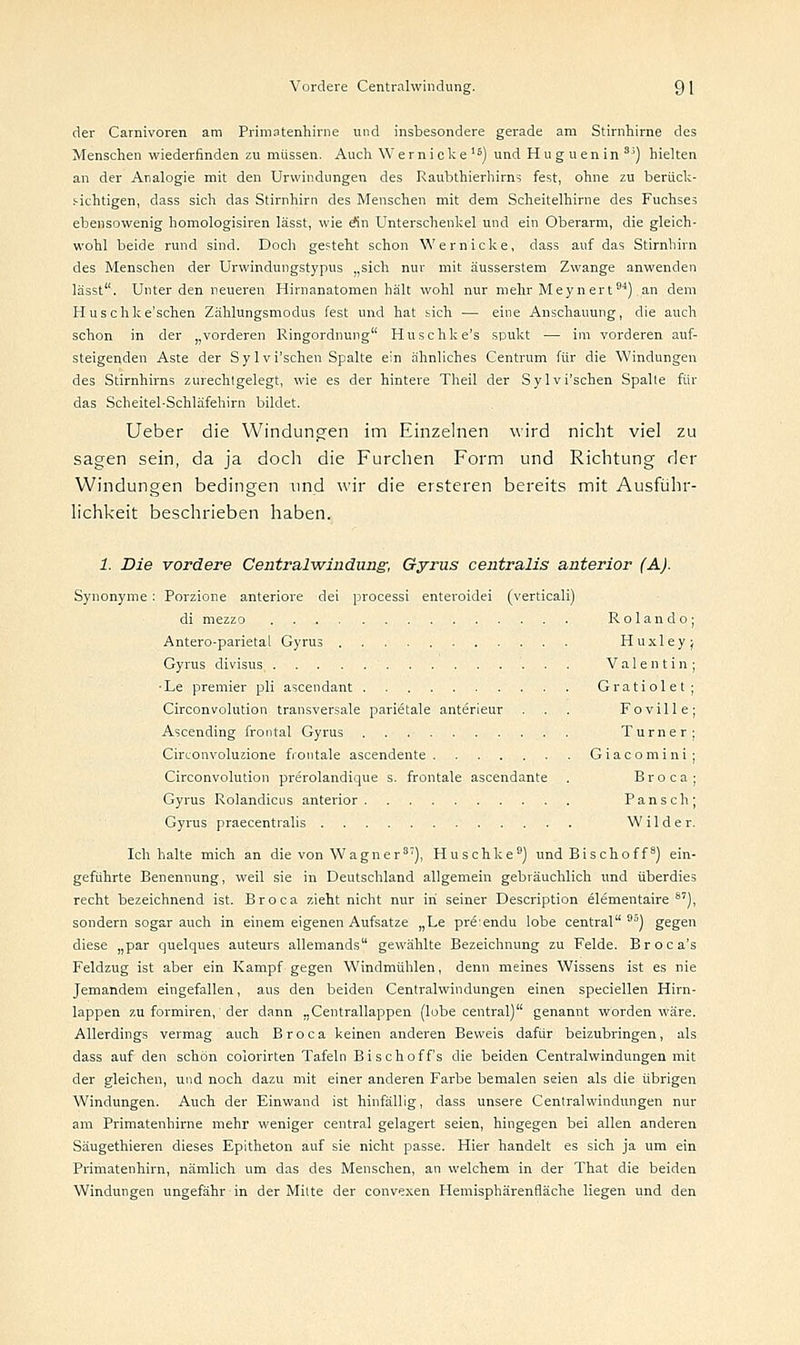 der Carnivoren am Primatenhime und insbesondere gerade am Stirnhirne des Menschen wiederfinden zu müssen. Auch Wernicke'5) und Huguenin 3i) hielten an der Analogie mit den Urwindungen des Raubthierhirns fest, ohne zu berück- sichtigen, dass sich das Stirnhirn des Menschen mit dem Scheitelhirne des Fuchses ebensowenig homologisiren lässt, wie e*in Unterschenkel und ein Oberarm, die gleich- wohl beide rund sind. Doch gesteht schon Wernicke, dass auf das Stirnhirn des Menschen der Urwindungstypus ,,sich nur mit äusserstem Zwange anwenden lässt. Unter den neueren Hirnanatomen hält wohl nur mehr Meynert94) .an dem Huschke'schen Zählungsmodus fest und hat sich — eine Anschauung, die auch schon in der „vorderen Ringordnung Huschke's spukt — im vorderen auf- steigenden Aste der Sylvi'schen Spalte ein ähnliches Centrum für die Windungen des Stirnhirns zurechtgelegt, wie es der hintere Theil der Sylvi'schen Spalte für das Scheitel-Schläfehirn bildet. lieber die Windungen im Einzelnen wird nicht viel zu sagen sein, da ja doch die Furchen Form und Richtung der Windungen bedingen und wir die ersteren bereits mit Ausführ- lichkeit beschrieben haben. 1. Die vordere Centralwindung-, Gyrus centralis anterior (A). Synonyme: Porzione anteriore dei processi enteroidei (verticali) di mezzo Rolando; Antero-parietal Gyrus Huxleyj Gyrus divisus Valentin; •Le premier pli ascendant Gratiolet; Circonvolution transversale parietale anterieur . . . Foville; Ascending frontal Gyrus Turner; Circonvoluzione frontale ascendente Giacomini; Circonvolution prerolandique s. frontale ascendante . Broca; Gyrus Rolandicus anterior Pansch; Gyrus praecentralis Wilder. Ich halte mich an die von Wagner37), Huschke9) und Bischoff8) ein- geführte Benennung, weil sie in Deutschland allgemein gebräuchlich und überdies recht bezeichnend ist. Broca zieht nicht nur in seiner Description elementaire 8'), sondern sogar auch in einem eigenen Aufsatze „Le pre.endu lobe central90) gegen diese „par quelques auteurs allemands gewählte Bezeichnung zu Felde. Broca's Feldzug ist aber ein Kampf gegen Windmühlen, denn meines Wissens ist es nie Jemandem eingefallen, aus den beiden Centralwindungen einen speciellen Hirn- lappen zu formiren, der dann „Centrallappen (lobe central) genannt worden wäre. Allerdings vermag auch Broca keinen anderen Beweis dafür beizubringen, als dass auf den schön colorirten Tafeln Bischoff's die beiden Centralwindungen mit der gleichen, und noch dazu mit einer anderen Farbe bemalen seien als die übrigen Windungen. Auch der Einwand ist hinfällig, dass unsere Centralwindungen nur am Primatenhirne mehr weniger central gelagert seien, hingegen bei allen anderen Säugethieren dieses Epitheton auf sie nicht passe. Hier handelt es sich ja um ein Primatenhirn, nämlich um das des Menschen, an welchem in der That die beiden Windungen ungefähr in der Mitte der convexen Hemisphärenfläche liegen und den