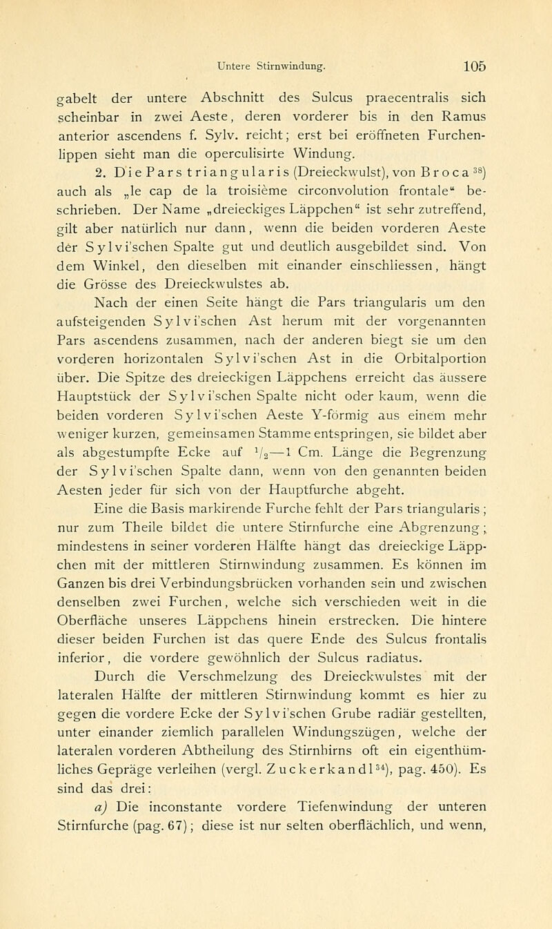 gabelt der untere Abschnitt des Sulcus praecentralis sich scheinbar in zwei Aeste, deren vorderer bis in den Ramus anterior ascendens f. Sylv. reicht; erst bei eröffneten Furchen- lippen sieht man die operculisirte Windung. 2. Die Pars triangularis (Dreieckwulst), von Br oca 38) auch als „le cap de la troisieme circonvolution frontale be- schrieben. Der Name „dreieckiges Läppchen ist sehrzutreffend, gilt aber natürlich nur dann, wenn die beiden vorderen Aeste der Sylvi'schen Spalte gut und deutlich ausgebildet sind. Von dem Winkel, den dieselben mit einander einschliessen, hängt die Grösse des Dreieckwulstes ab. Nach der einen Seite hängt die Pars triangularis um den aufsteigenden Sylvi'schen Ast herum mit der vorgenannten Pars ascendens zusammen, nach der anderen biegt sie um den vorderen horizontalen Sylvi'schen Ast in die Orbitalportion über. Die Spitze des dreieckigen Läppchens erreicht das äussere Hauptstück der Syl v i'schen Spalte nicht oder kaum, wenn die beiden vorderen Sylvi'schen Aeste Y-förmig aus einem mehr weniger kurzen, gemeinsamen Stamme entspringen, sie bildet aber als abgestumpfte Ecke auf 1/2—1 Cm. Länge die Begrenzung der Sylvi'schen Spalte dann, wenn von den genannten beiden Aesten jeder für sich von der Hauptfurche abgeht. Eine die Basis markirende Furche fehlt der Pars triangularis ; nur zum Theile bildet die untere Stirnfurche eine Abgrenzung;, mindestens in seiner vorderen Hälfte hängt das dreieckige Läpp- chen mit der mittleren Stirnwindung zusammen. Es können im Ganzen bis drei Verbindungsbrücken vorhanden sein und zwischen denselben zwei Furchen, welche sich verschieden weit in die Oberfläche unseres Läppchens hinein erstrecken. Die hintere dieser beiden Furchen ist das quere Ende des Sulcus frontalis inferior, die vordere gewöhnlich der Sulcus radiatus. Durch die Verschmelzung des Dreieckwulstes mit der lateralen Hälfte der mittleren Stirnwindung kommt es hier zu gegen die vordere Ecke der Sylvi'schen Grube radiär gestellten, unter einander ziemlich parallelen Windungszügen, welche der lateralen vorderen Abtheilung des Stirnhirns oft ein eigenthüm- liches Gepräge verleihen (vergl. Zuckerkandl34), pag. 450). Es sind das drei: a) Die inconstante vordere Tiefenwindung der unteren Stirnfurche (pag. 67); diese ist nur selten oberflächlich, und wenn,