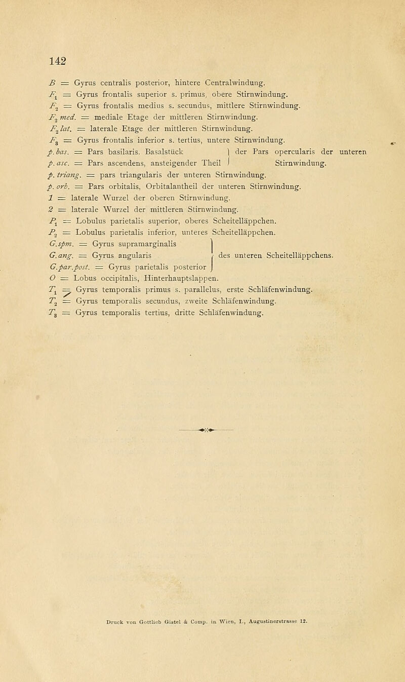 B = Gyrus centralis posterior, hintere Centralwindung. F± = Gyrus frontalis superior s. primus, obere Stirnwindung. F2 = Gyrus frontalis medius s. secundus, mittlere Stirnwindung. F2 med. = mediale Etage der mittleren Stirnwindung. F^lat. = laterale Etage der mittleren Stirnwindung. Fs = Gyrus frontalis inferior s. tertius, untere Stirnwindung. p.bas. = Pars basilaris. Basalstück ) der Pars opercularis der unteren p. asc. = Pars ascendens, ansteigender Theil ) Stirnvvindung. p. triang. = pars triangularis der unteren Stirnwindung. p. orb. = Pars orbitalis, Orbitalantheil der unteren Stirnwindung. 1 = laterale Wurzel der oberen Stirnwindung. 2 = laterale Wurzel der mittleren Stirnwindung. Pt = Lobulus parietalis superior, oberes Scheitelläppchen. F2 = Lobulus parietalis inferior, unteres Scheitelläppchen. G.spm. = Gyrus supramarginalis G.ang. = Gyrus angularis / des unteren Scheitelläppchens. G.par.post. = Gyrus parietalis posterior J O = Lobus occipitalis, Hinterhauptslappen. T± ~ Gyrus temporalis primus s. parallelus, erste Schläfenwindung. 7*2 = Gyrus temporalis secundus, zweite SchläfenwInduDg. Ts = Gyrus temporalis tertius, dritte Schläfenwindung. . Gottlieb Gi3tel & Comp.