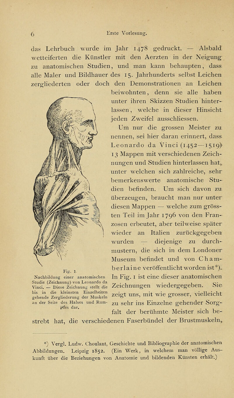 das Lehrbuch wurde im Jahr 1478 gedruckt. — Alsbald wetteiferten die Künstler mit den Aerzten in der Neigung zu anatomischen Studien, und man kann behaupten, dass alle Maler und Bildhauer des 15. Jahrhunderts selbst Leichen zergliederten oder doch den Demonstrationen an Leichen beiwohnten, denn sie alle haben unter ihren Skizzen Studien hinter- lassen , welche in dieser Hinsicht jeden Zweifel ausschliessen. Um nur die grossen Meister zu nennen, sei hier daran erinnert, dass Leonardo da Vinci (1452 —1519) 13 Mappen mit verschiedenen Zeich- nungen und Studien hinterlassen hat, unter welchen sich zahlreiche, sehr bemerkenswerte anatomische Stu- dien befinden. Um sich davon zu überzeugen, braucht man nur unter diesen Mappen — welche zum gröss- ten Teil im Jahr 1796 von den Fran- zosen erbeutet, aber teilweise später wieder an Italien zurückgegeben wurden — diejenige zu durch- mustern, die sich in dem Londoner Museum befindet und von Cham- ber 1 a i n e veröffentlicht worden ist *)L In Fig. 1 ist eine dieser anatomischen Zeichnungen wiedergegeben. Sie zeigt uns, mit wie grosser, vielleicht zu sehr ins Einzelne gehender Sorg- falt der berühmte Meister sich be- strebt hat, die verschiedenen Faserbündel der Brustmuskeln, Fig. 1. Nachbildung einer anatomischen Studie (Zeichnung) von Leonardo da Vinci. — Diese Zeichnung stellt die bis in die kleinsten Einzelheiten gehende Zergliederung der Muskeln an der Seite des Halses und Rum- pfes dar. *) Vergl. Ludw. Choulant, Geschichte und Bibliographie der anatomischen Abbildungen. Leipzig 1852. (Ein Werk, in welchem man völlige Aus- kunft über die Beziehungen von Anatomie und bildenden Künsten erhält.)